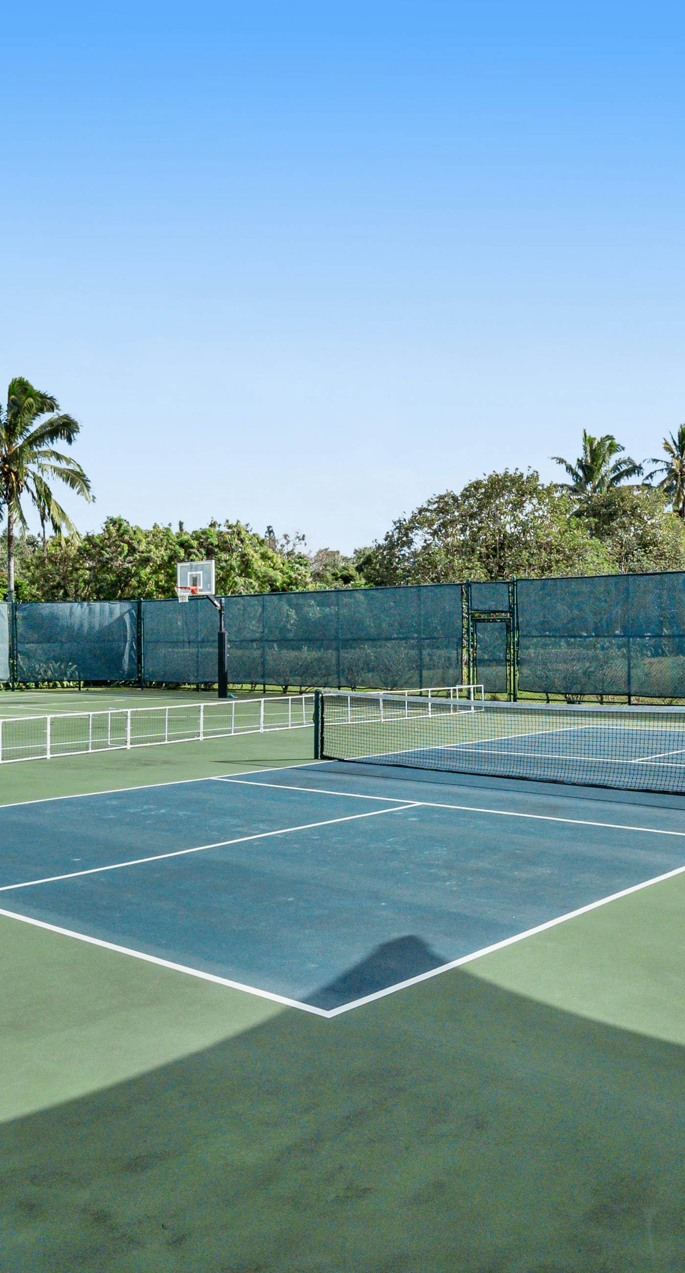 Sunrise Hale at the Cliffs