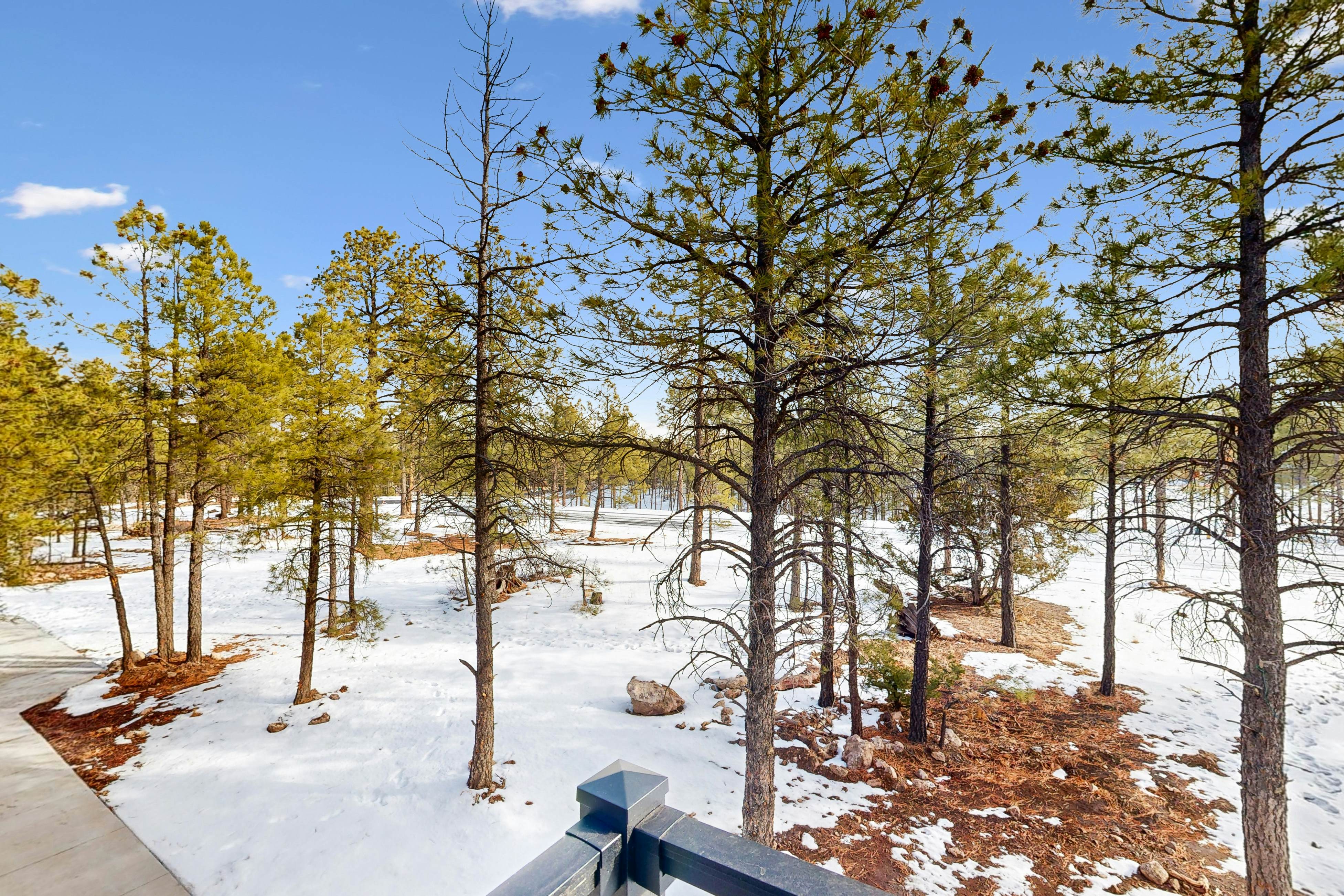 Ponderosa Peaks Retreat