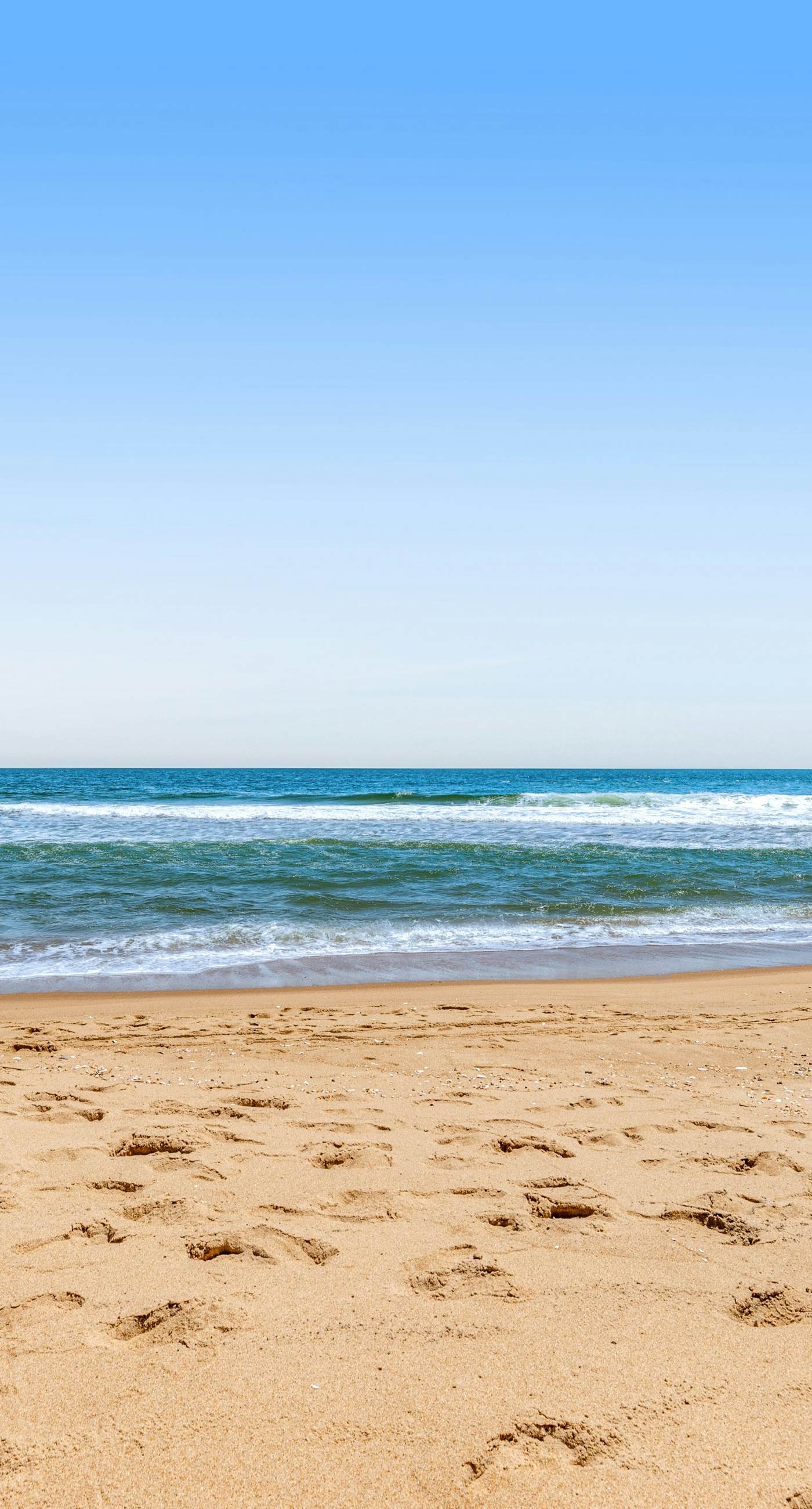 Sea Colony - 901 Brandywine House