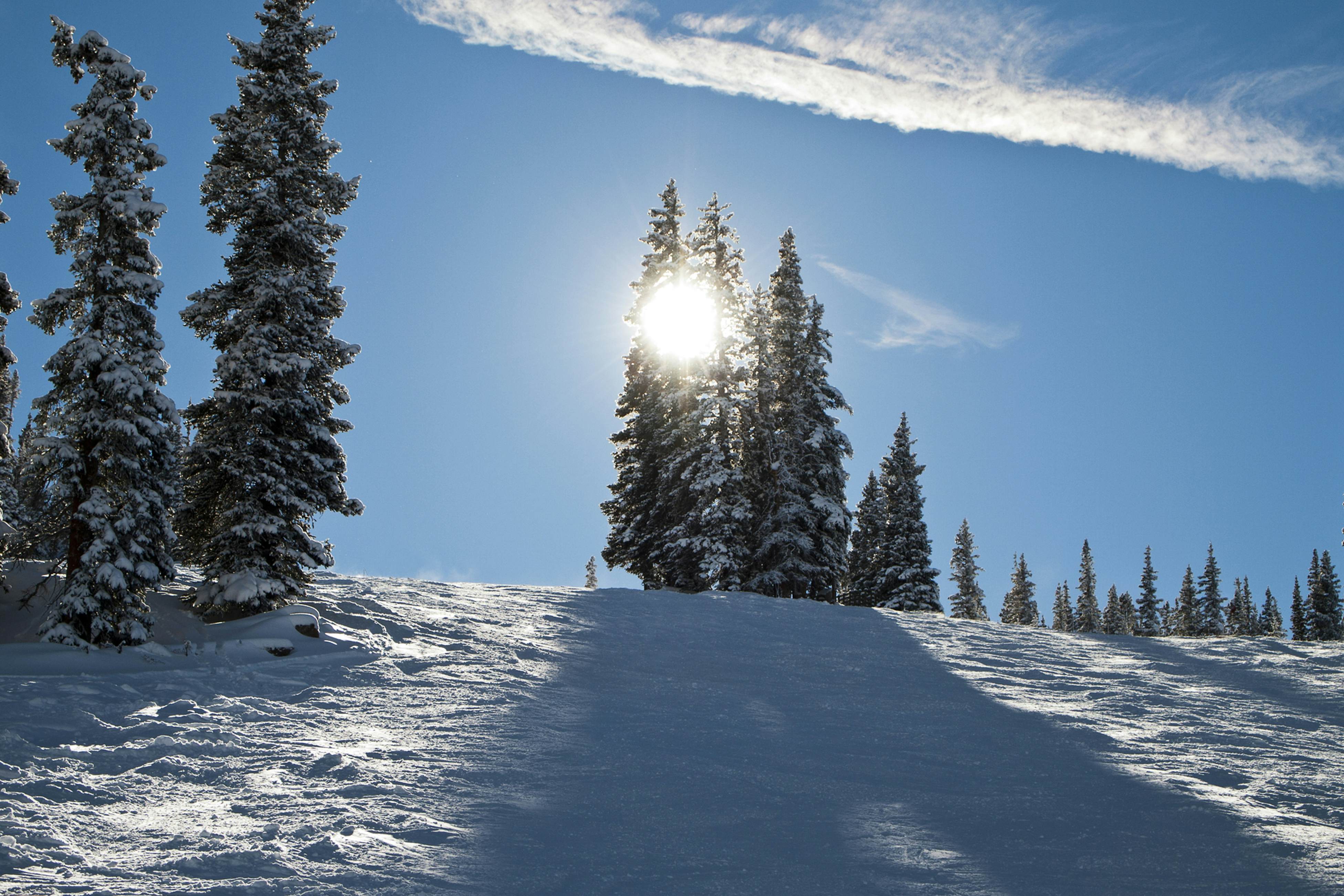 A Slice of Silverthorne