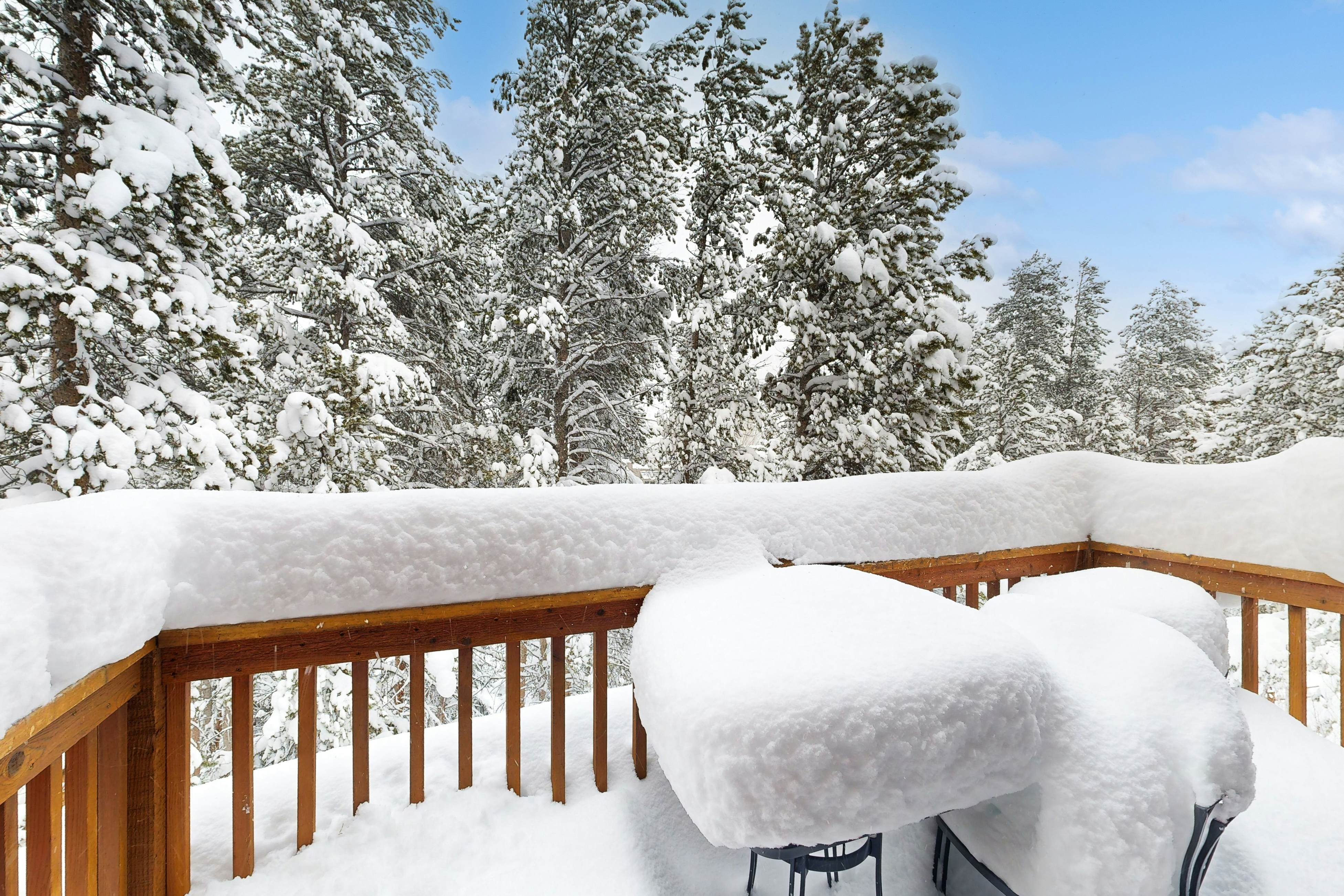 Knocking at Nature's Door