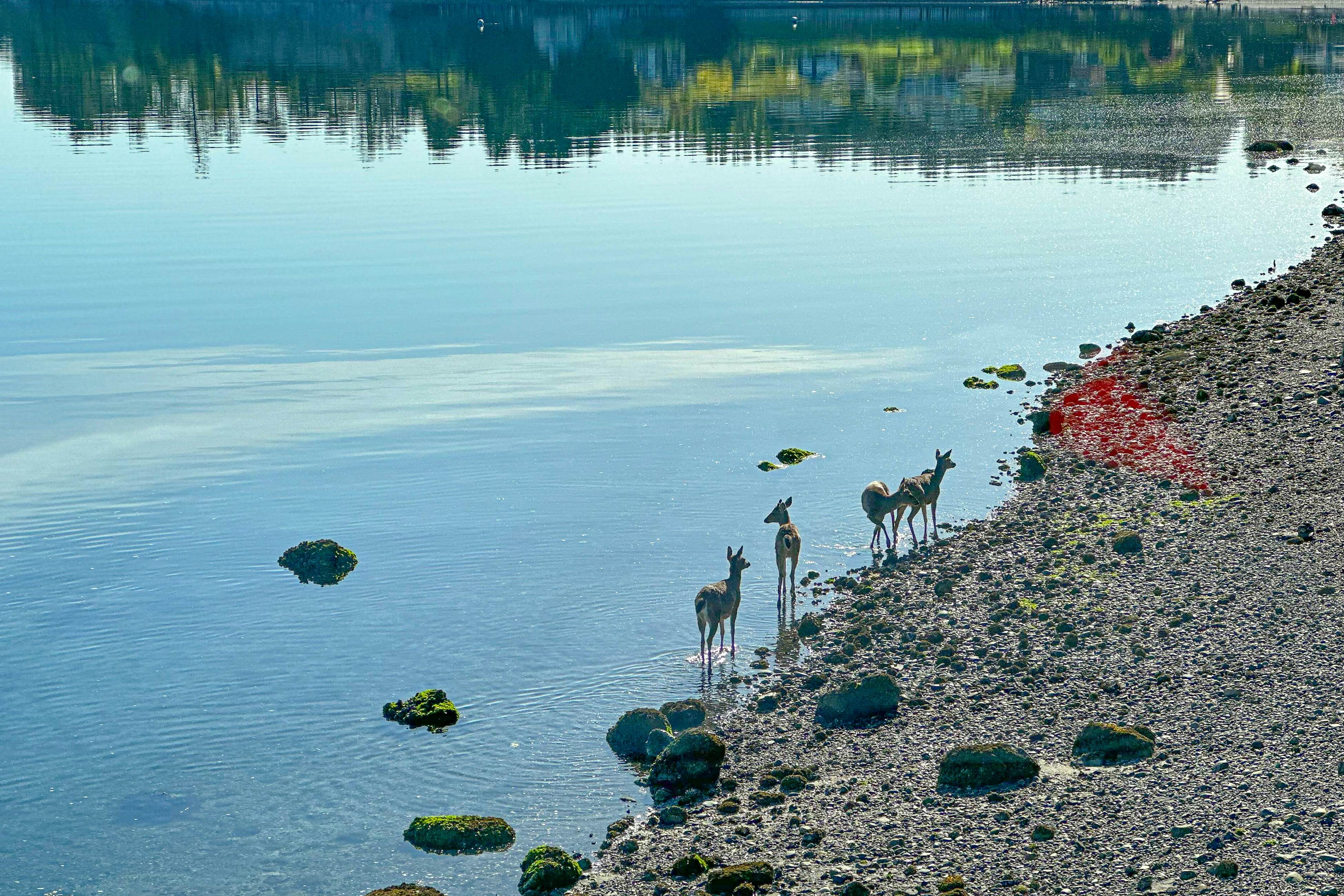 Heron House on the Cove