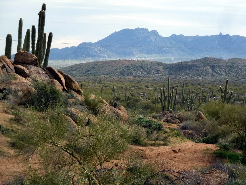 Sonoran Sunsets, a 3-Suite Retreat