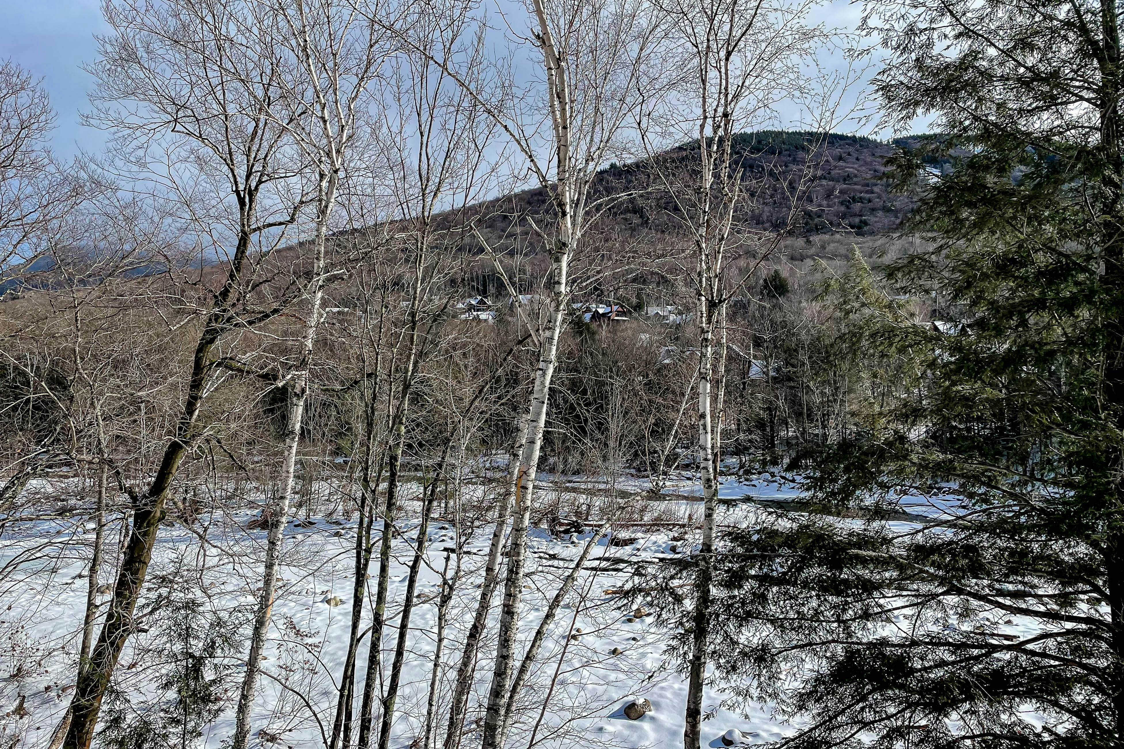 Relaxing on the River