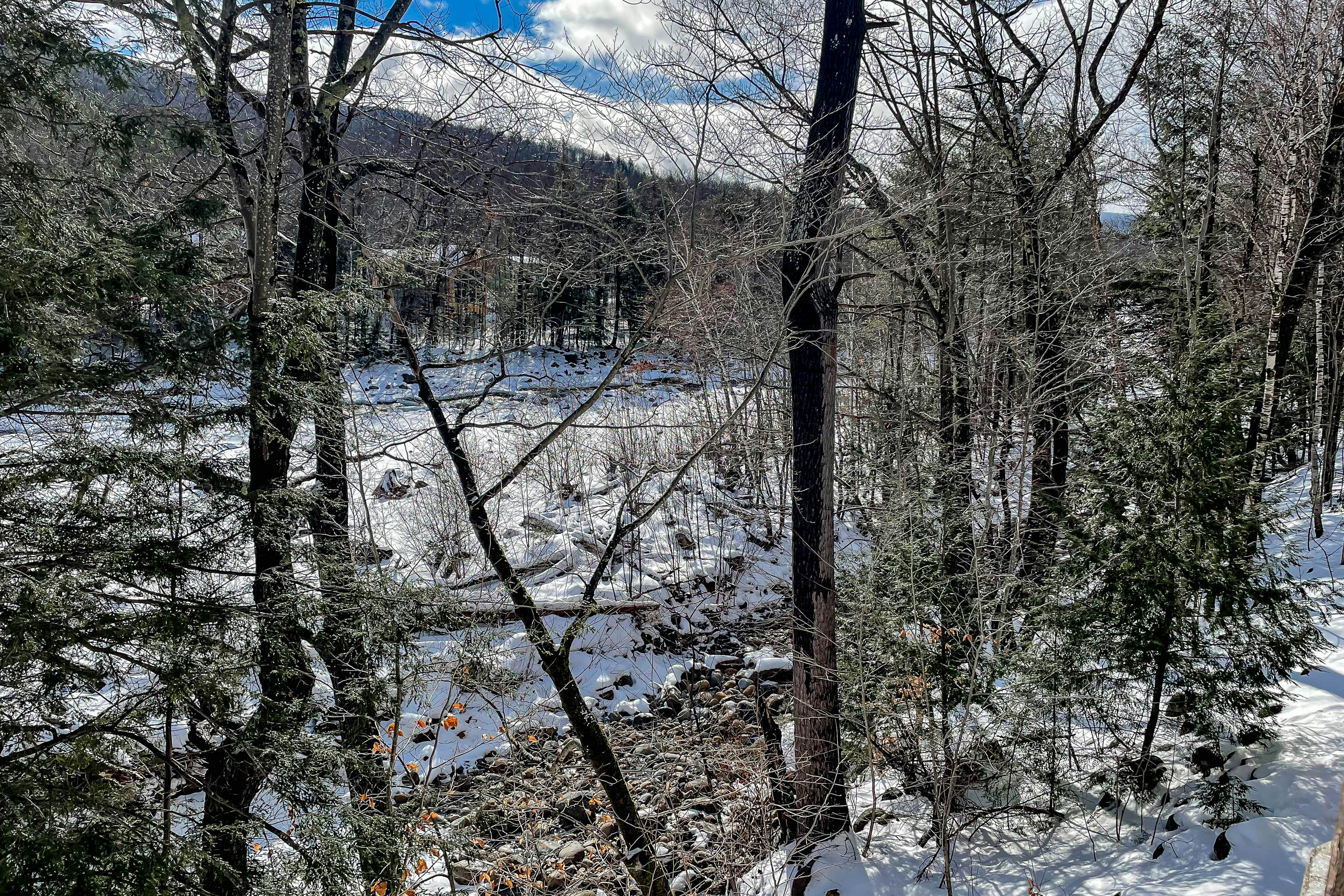 Relaxing on the River