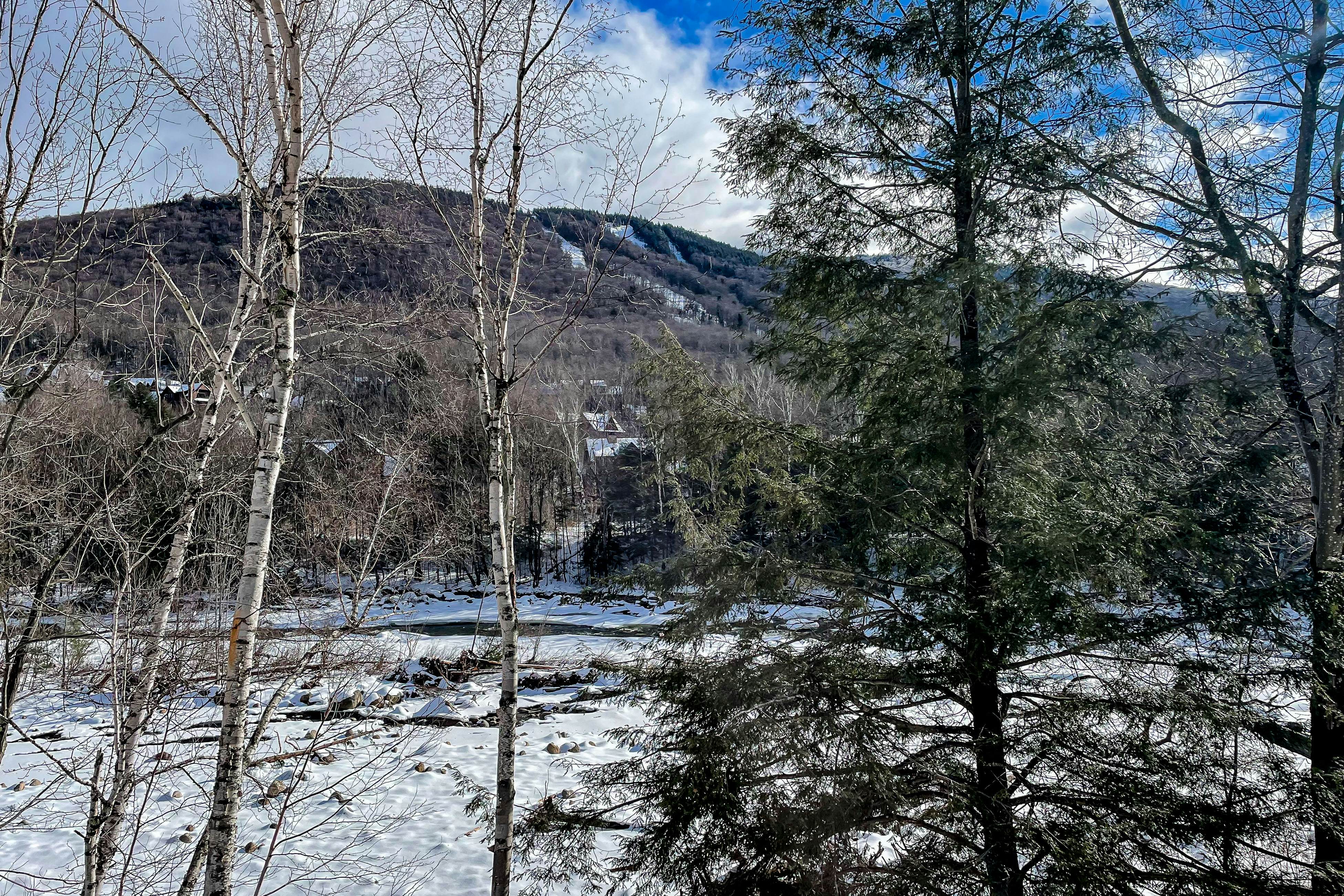 Relaxing on the River