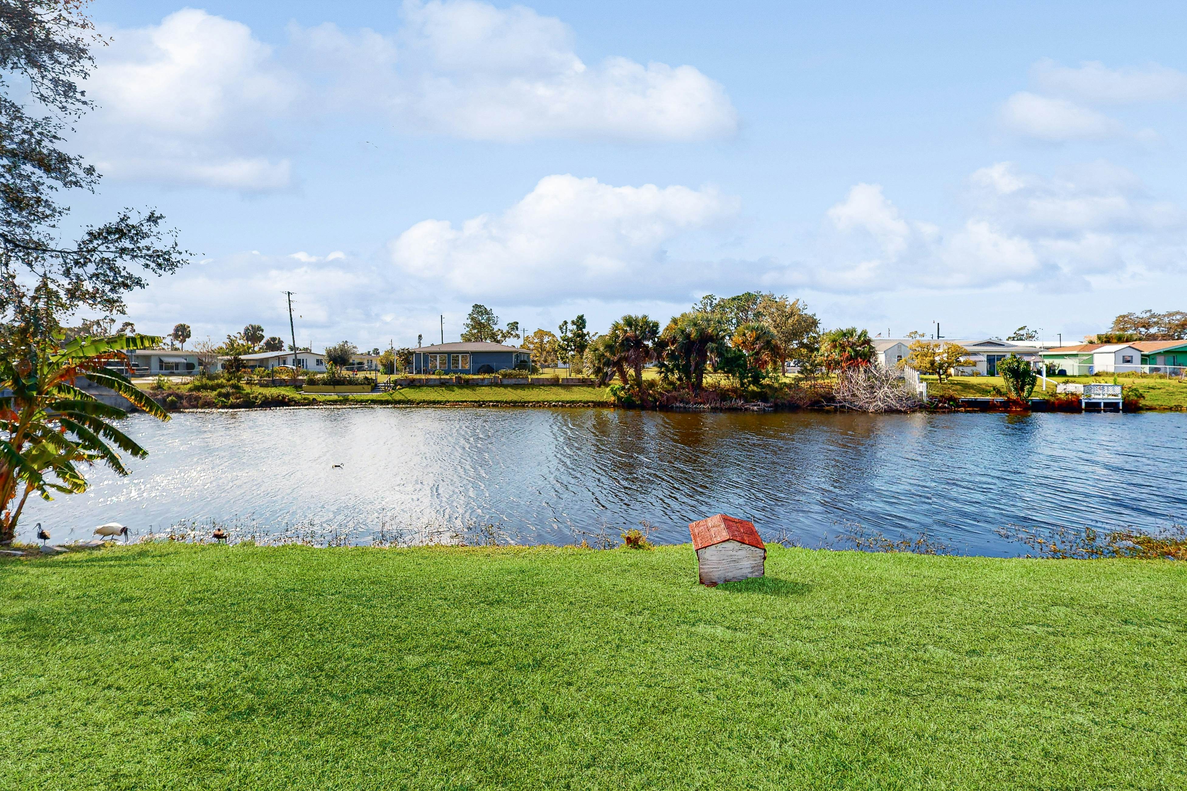 Dreaming on the Canal