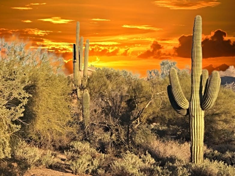 Sonoran Sunsets, a 3-Suite Retreat