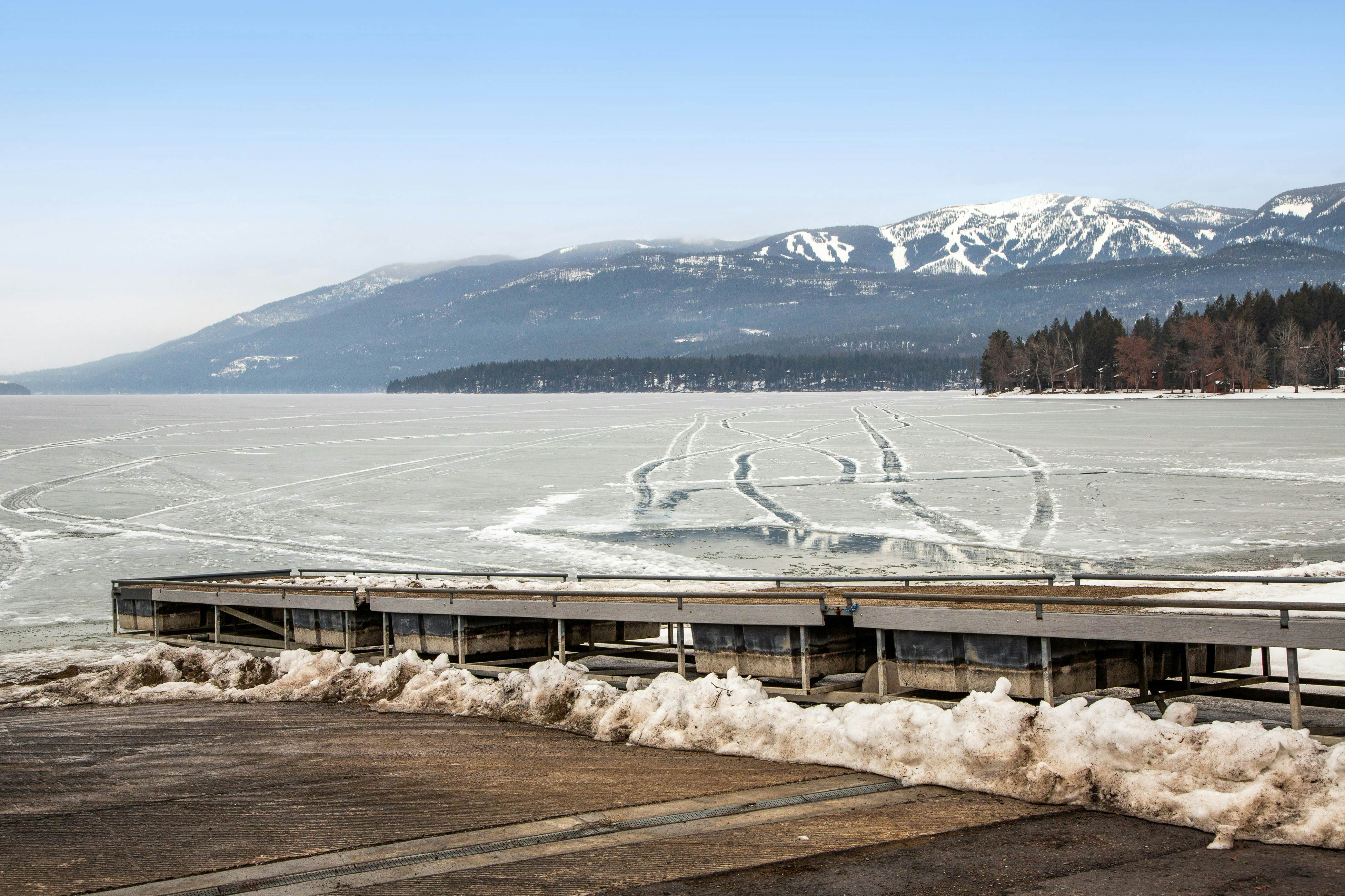 Whitefish Lake Wonder