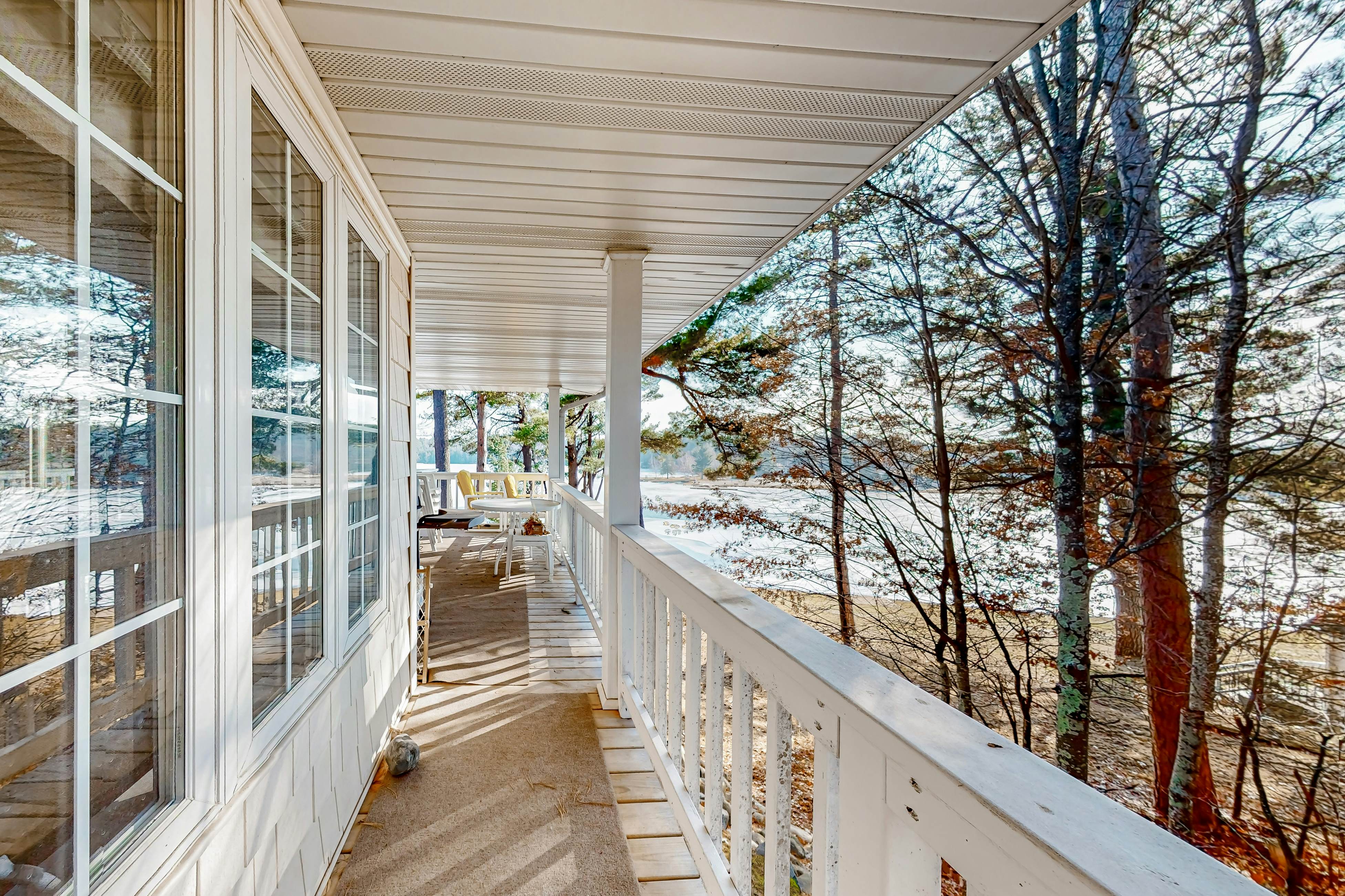 Yellow Birch Memories