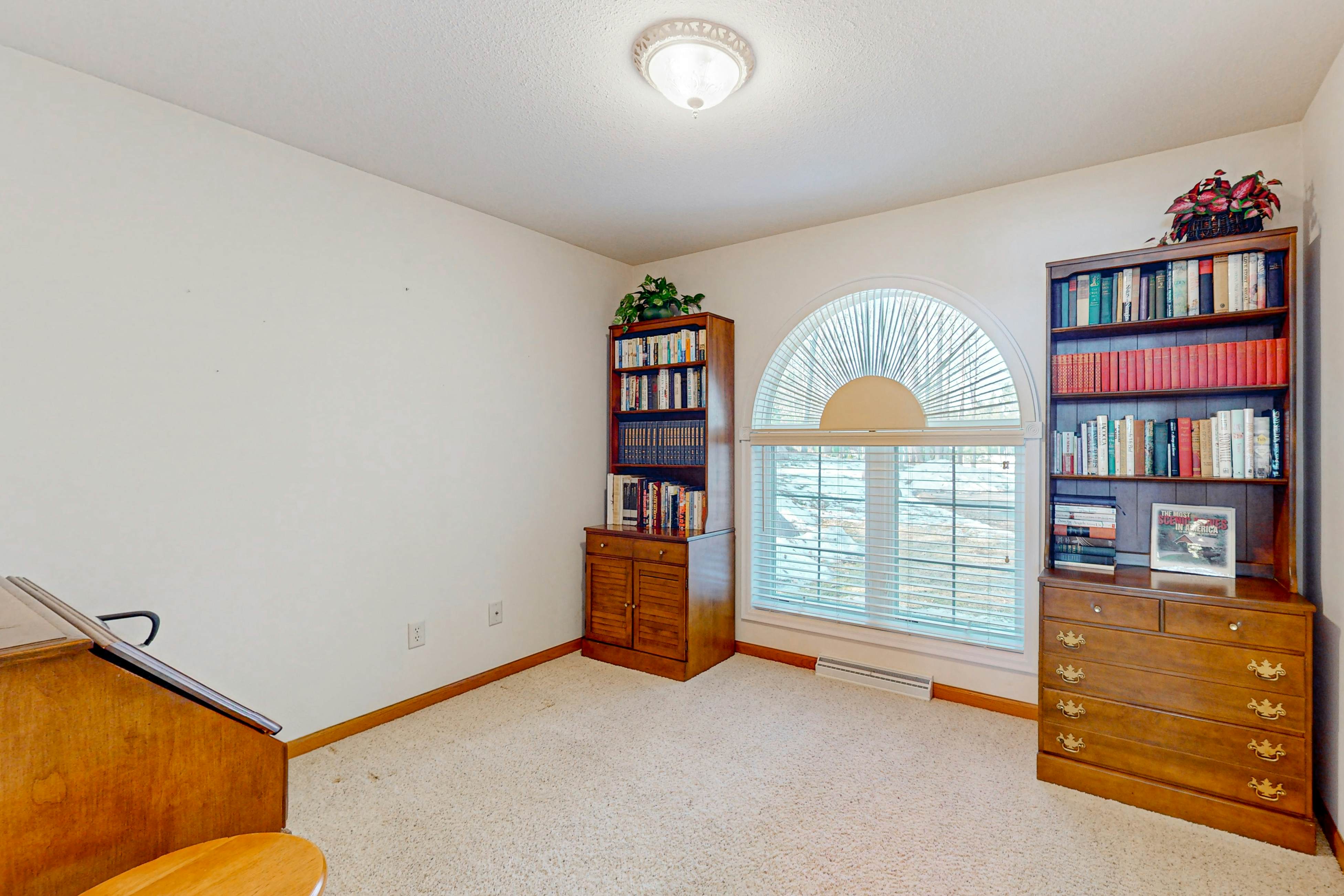 Yellow Birch Memories