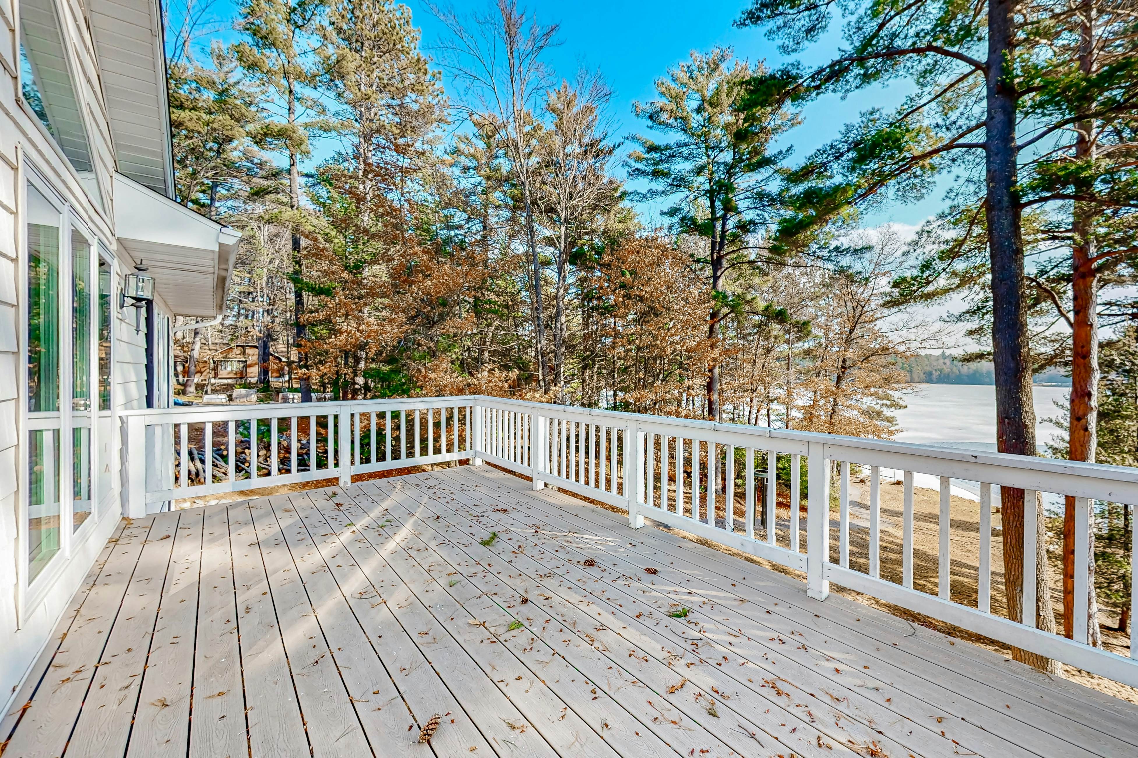 Yellow Birch Memories