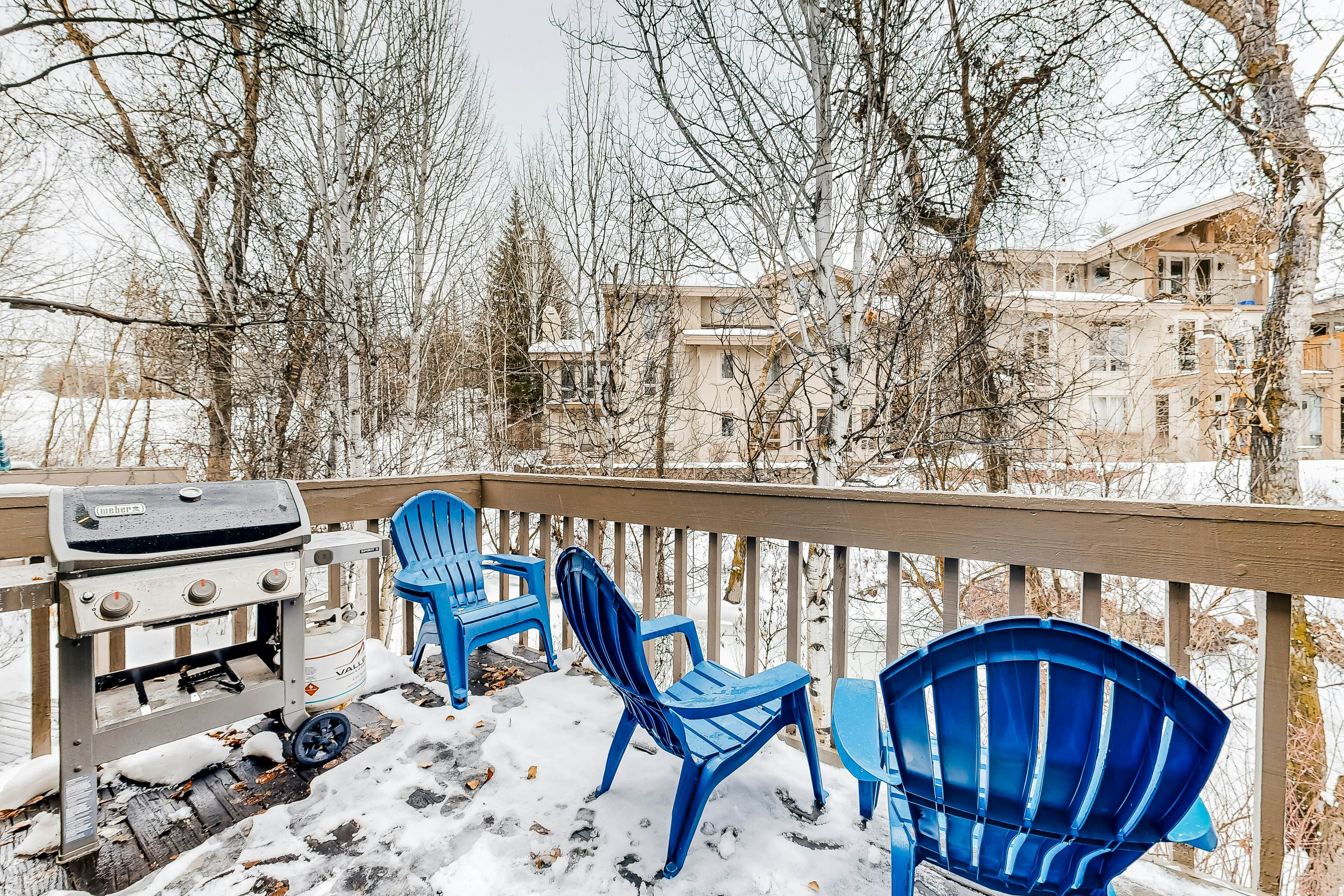 Bridgepoint Condo on Trail Creek