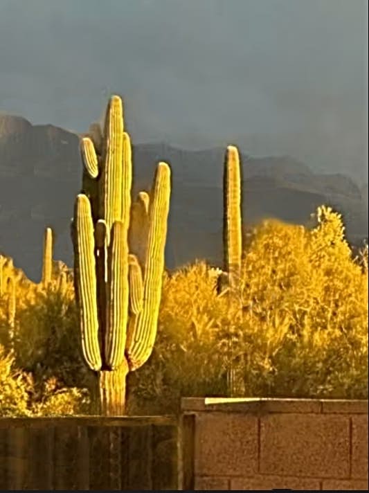 Sonoran Sunsets, a 3-Suite Retreat