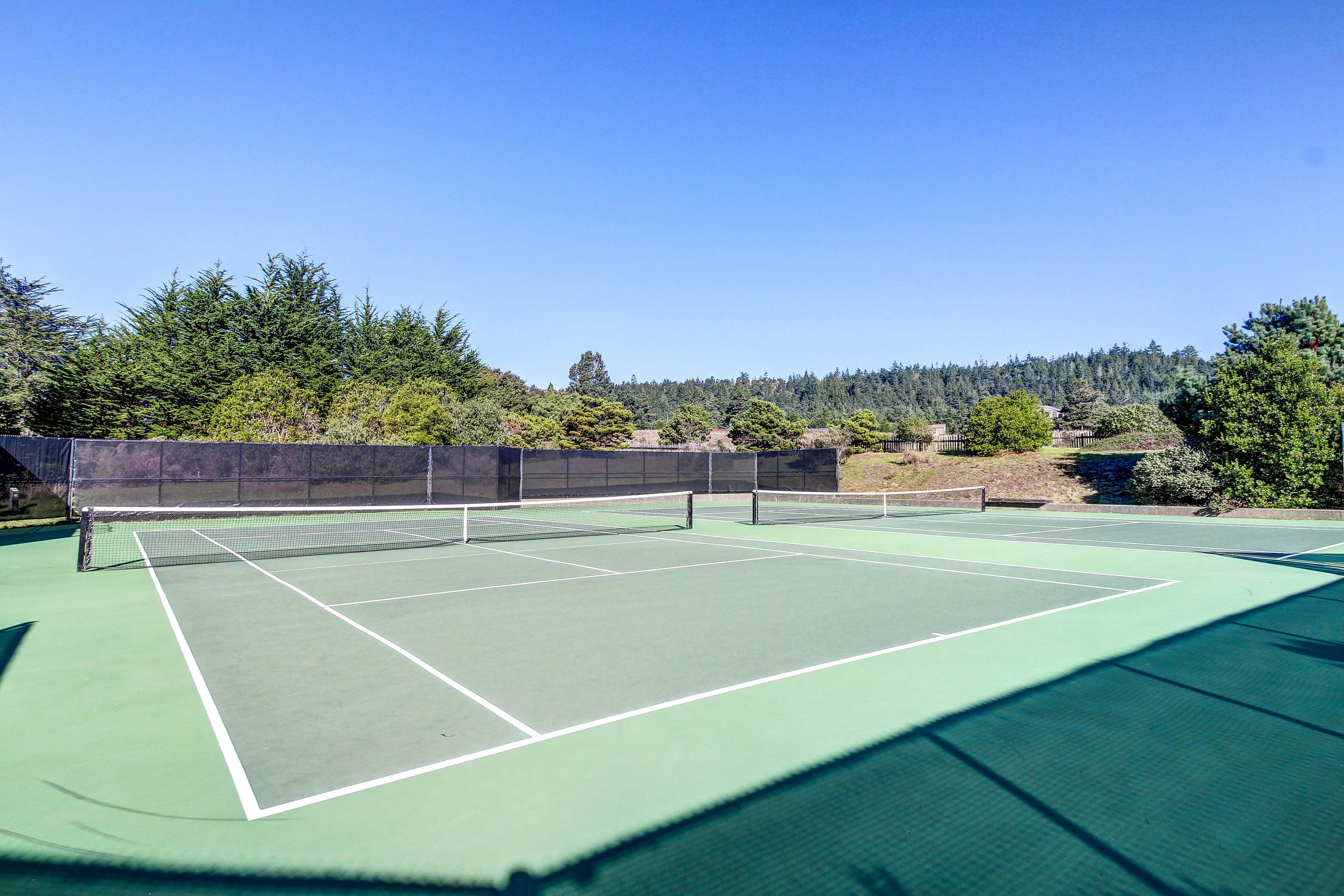 Sea Ranch Ocean View Zen Retreat