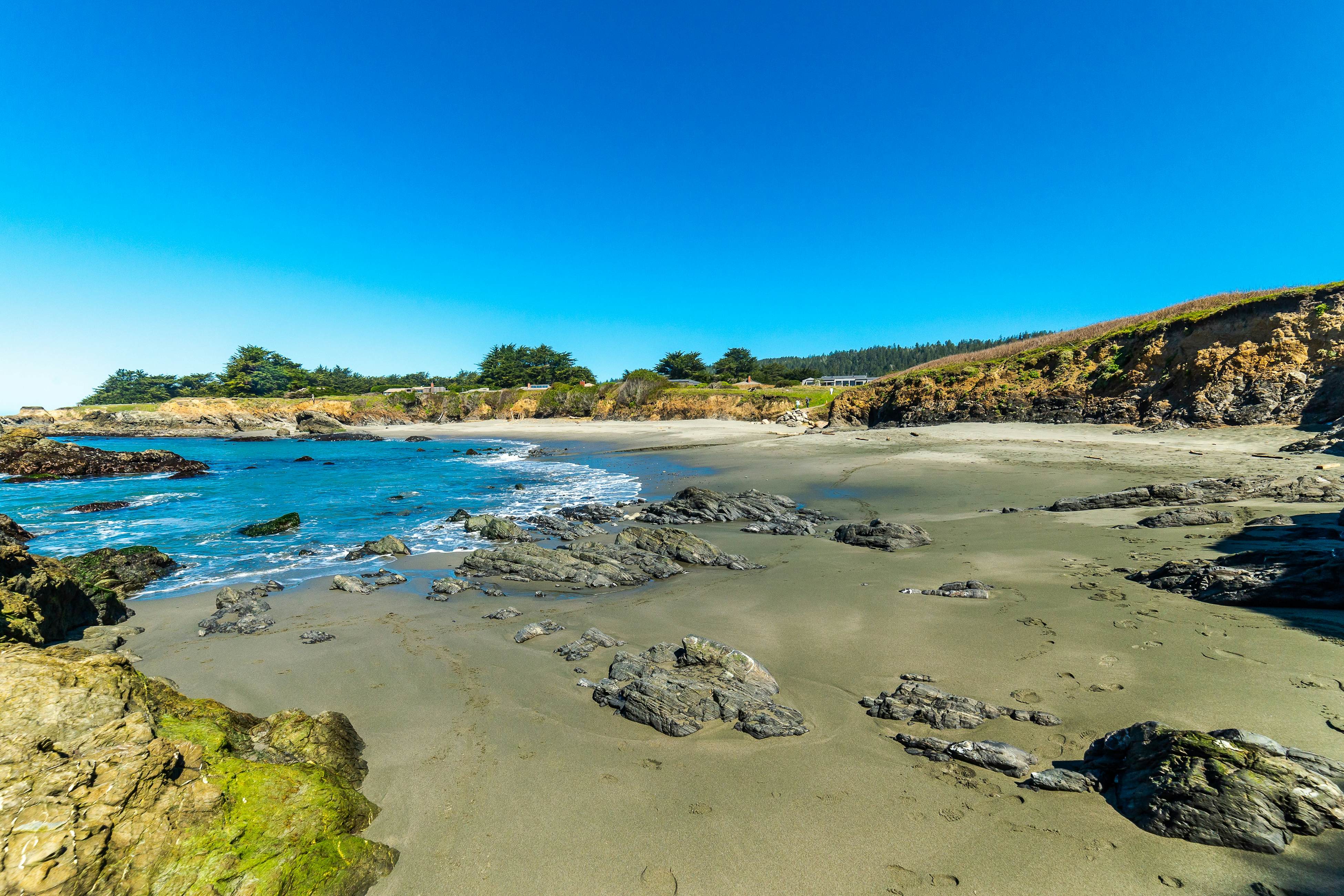 Sea Ranch Ocean View Zen Retreat