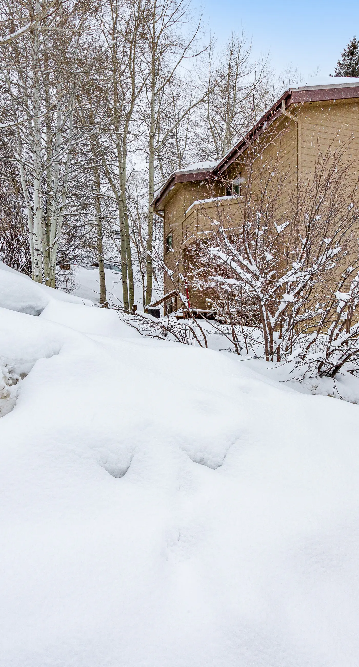 Alpine Serenity Haven