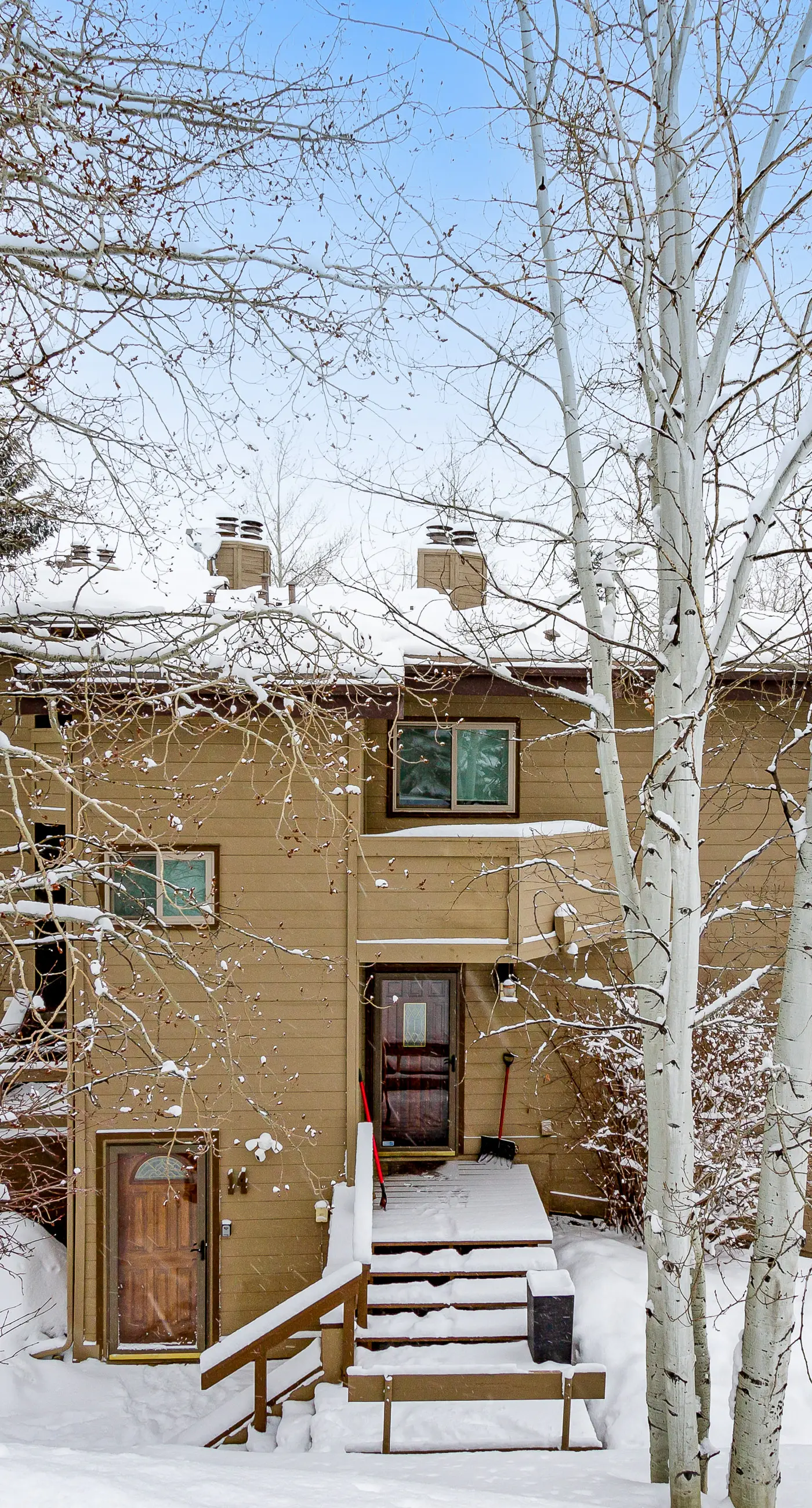 Alpine Serenity Haven