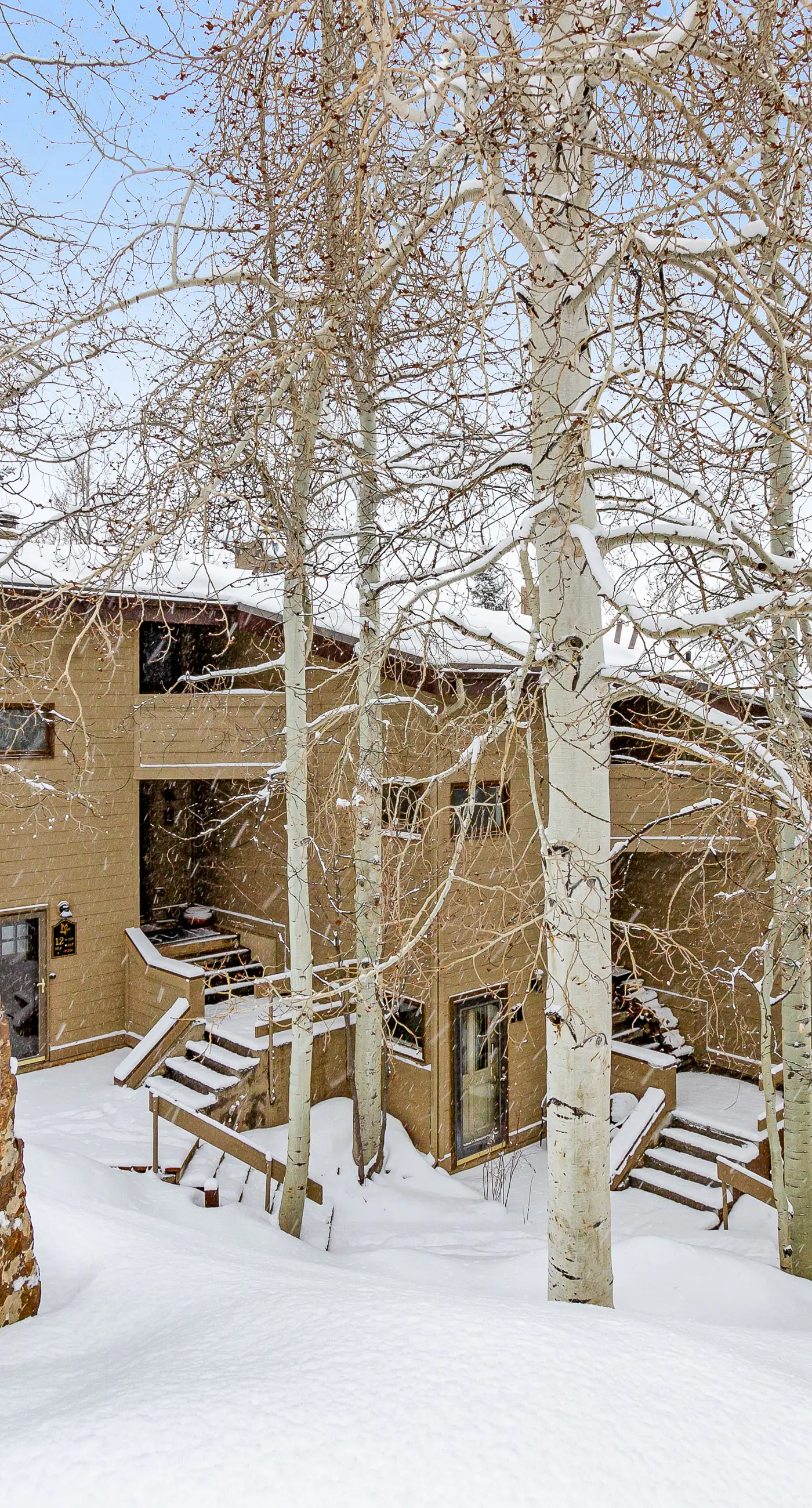 Alpine Serenity Haven