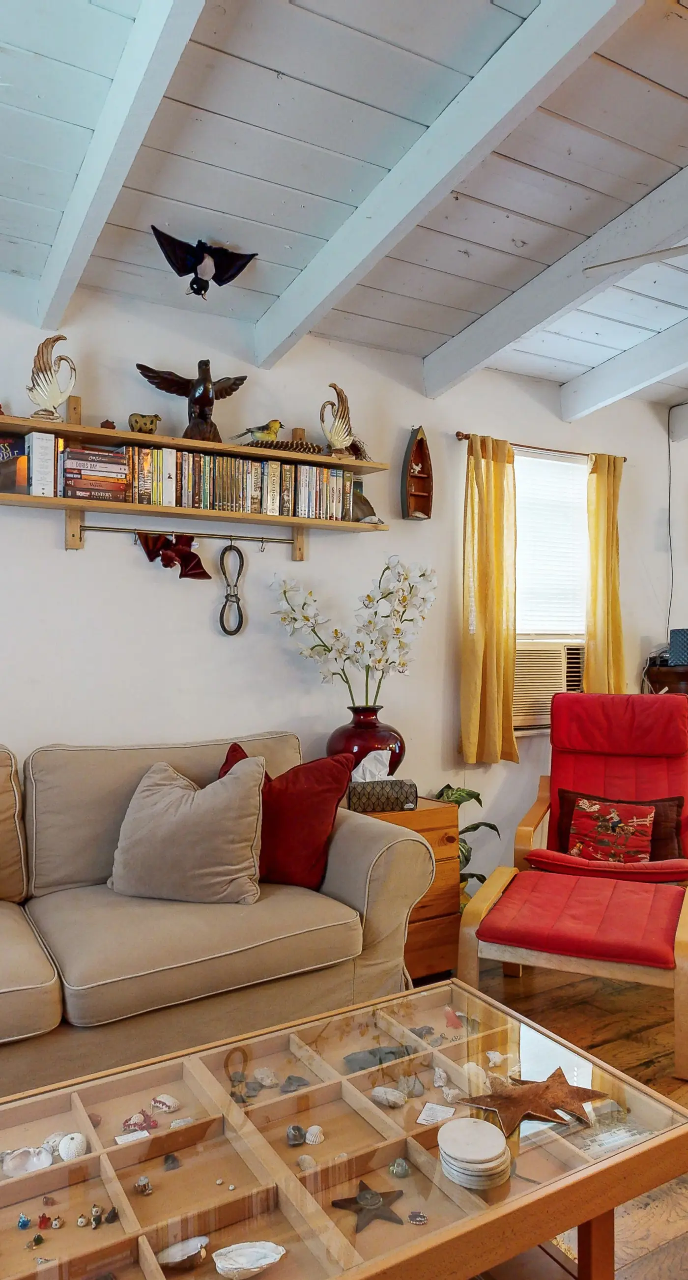 The Collector's Hideaway