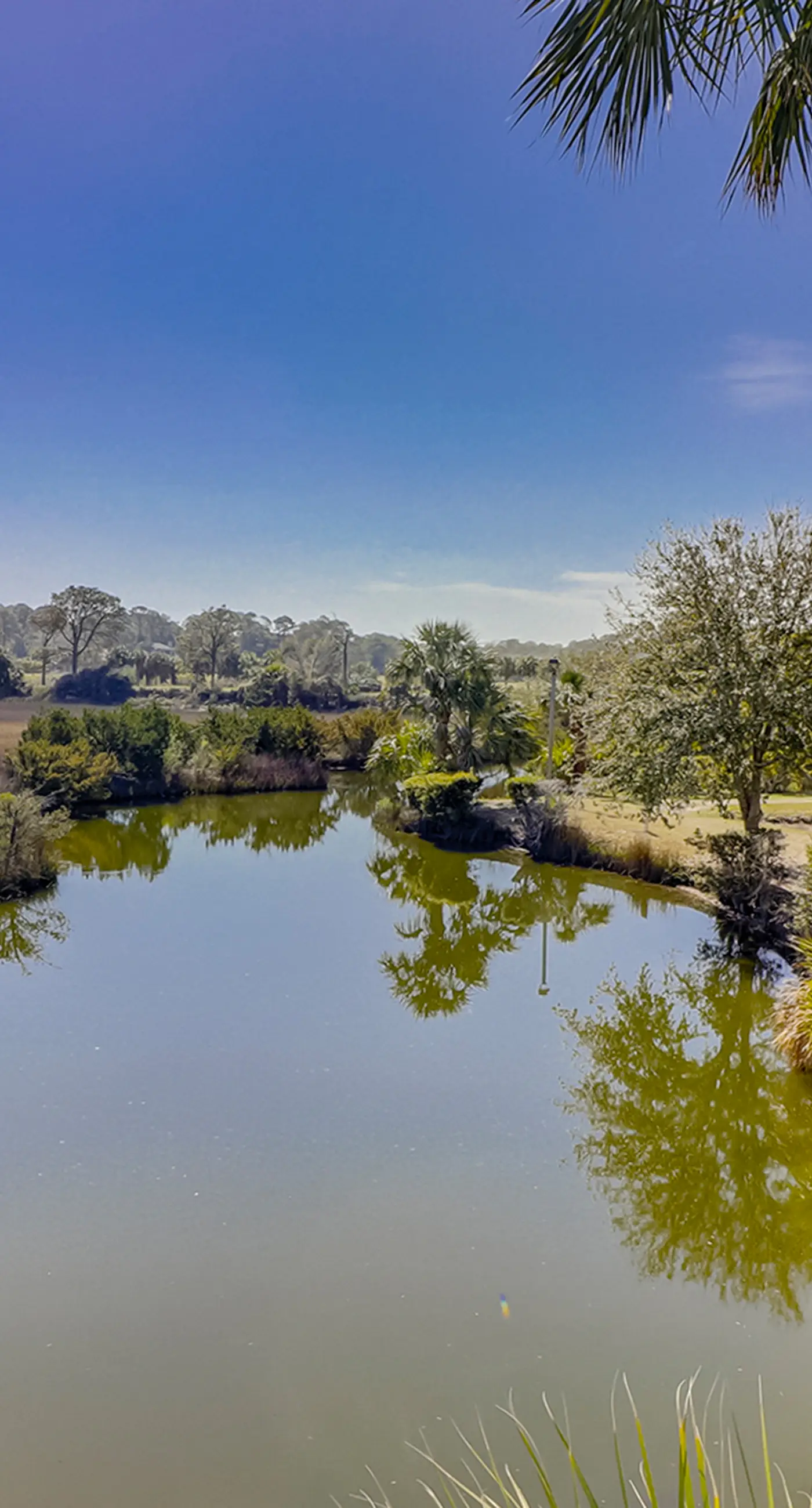 Hilton Head Resort 4336