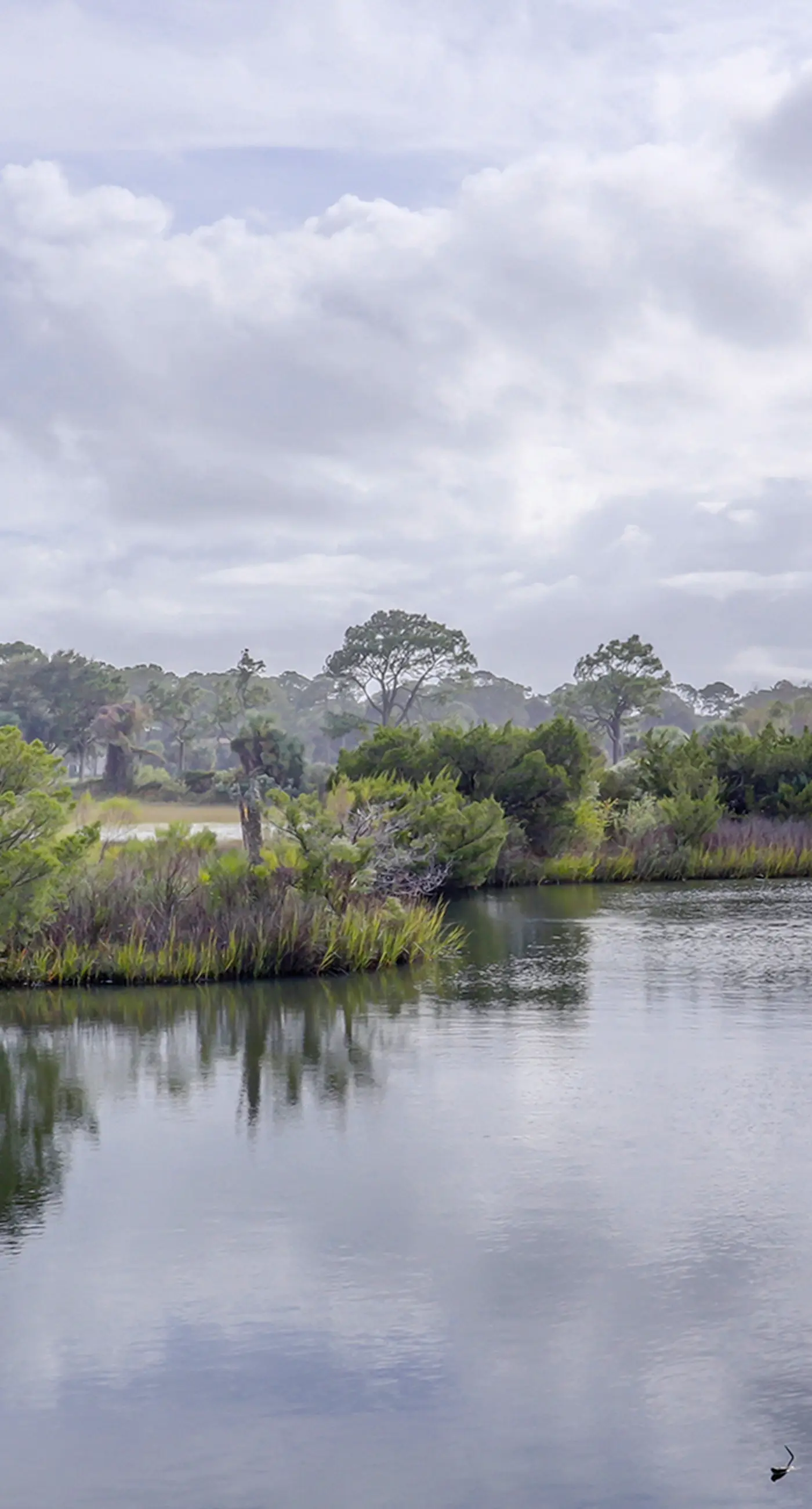 Hilton Head Resort 4336