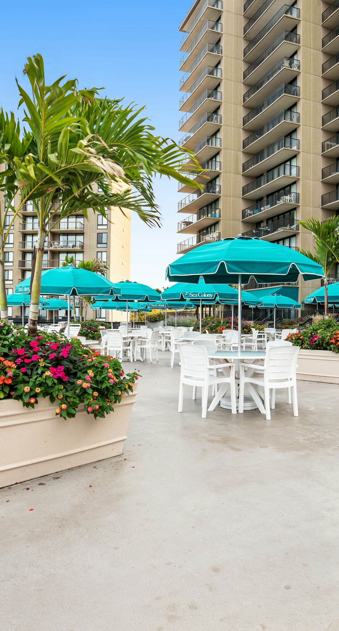 Sea Colony - 508 Dover House Rd