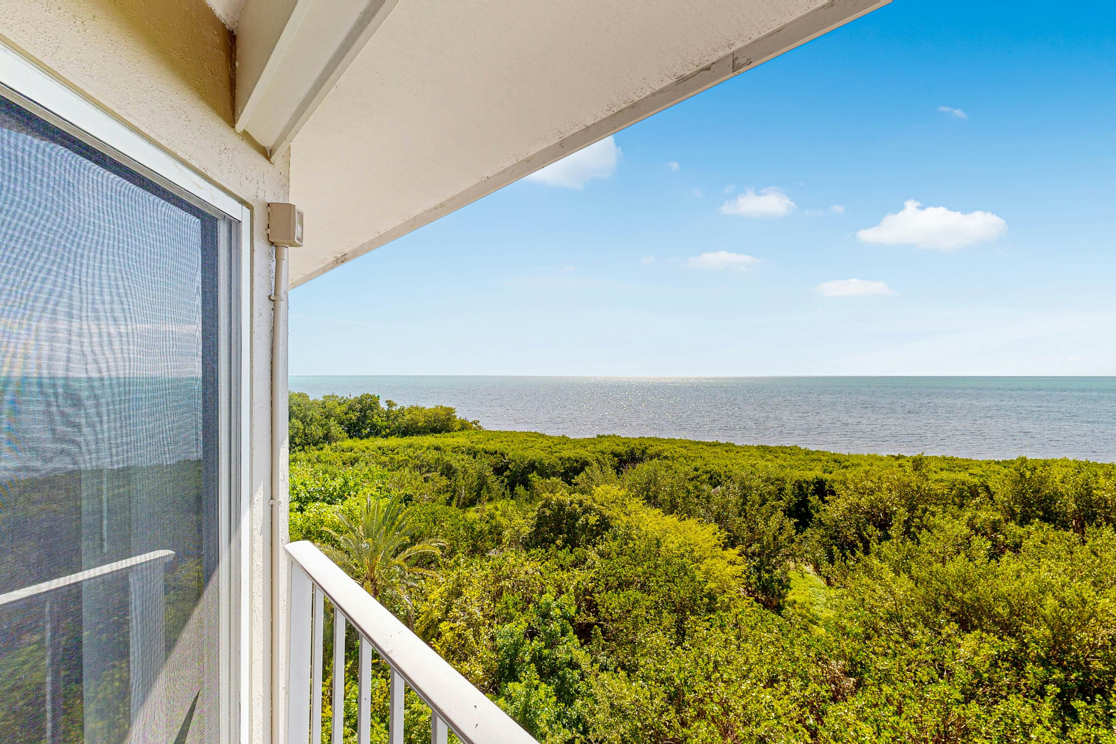 Tavernier Escape #4408