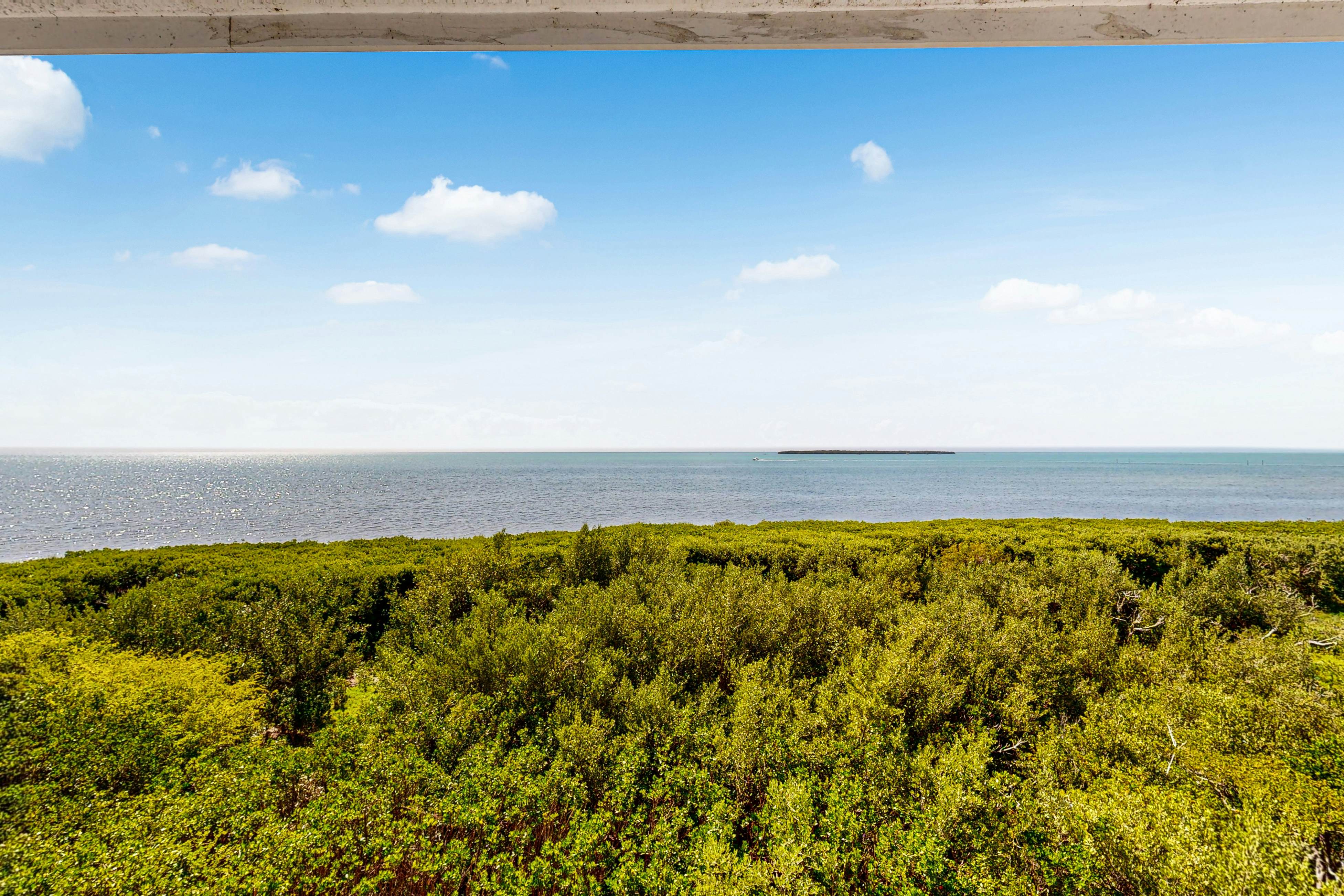 Tavernier Escape #4408