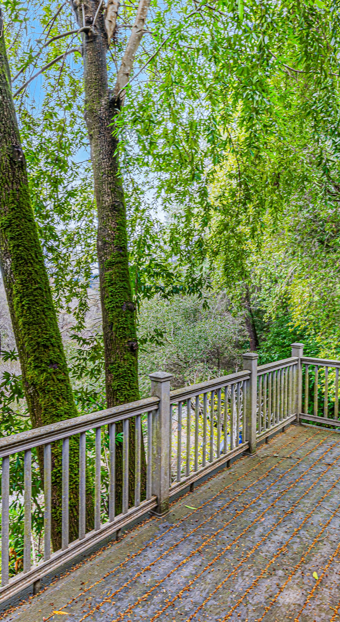Breathe in the Sonoma forest air from your private upper deck — a leafy treetop perch perfect for sipping a Russian River Valley Pinot after a day of exploring.