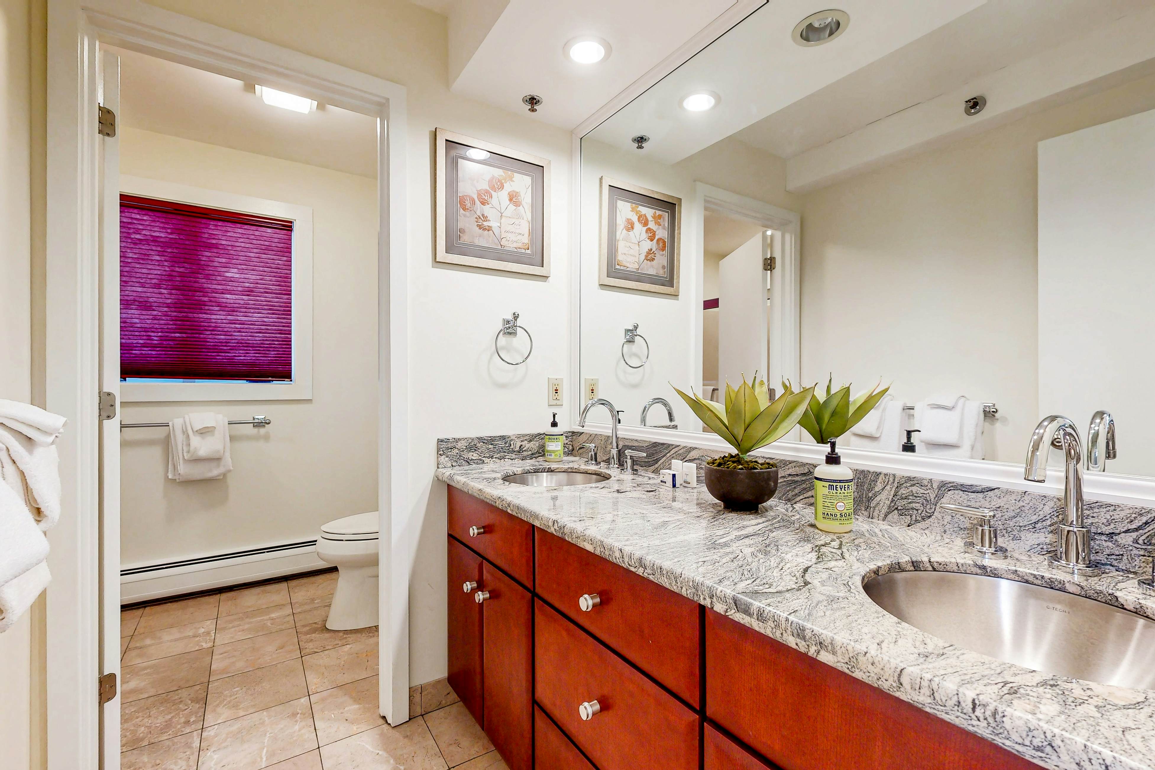 Penthouse Suite at Loon Landing