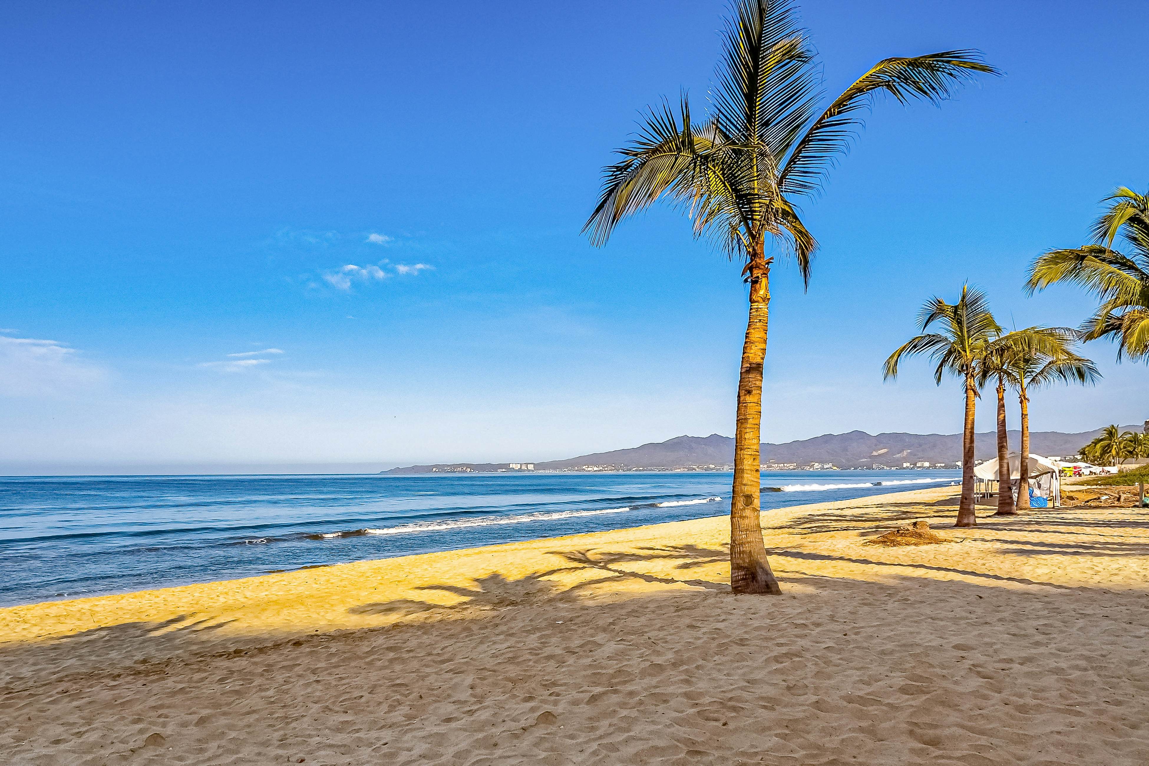 Ocean Vista Oasis at Maritima Playa
