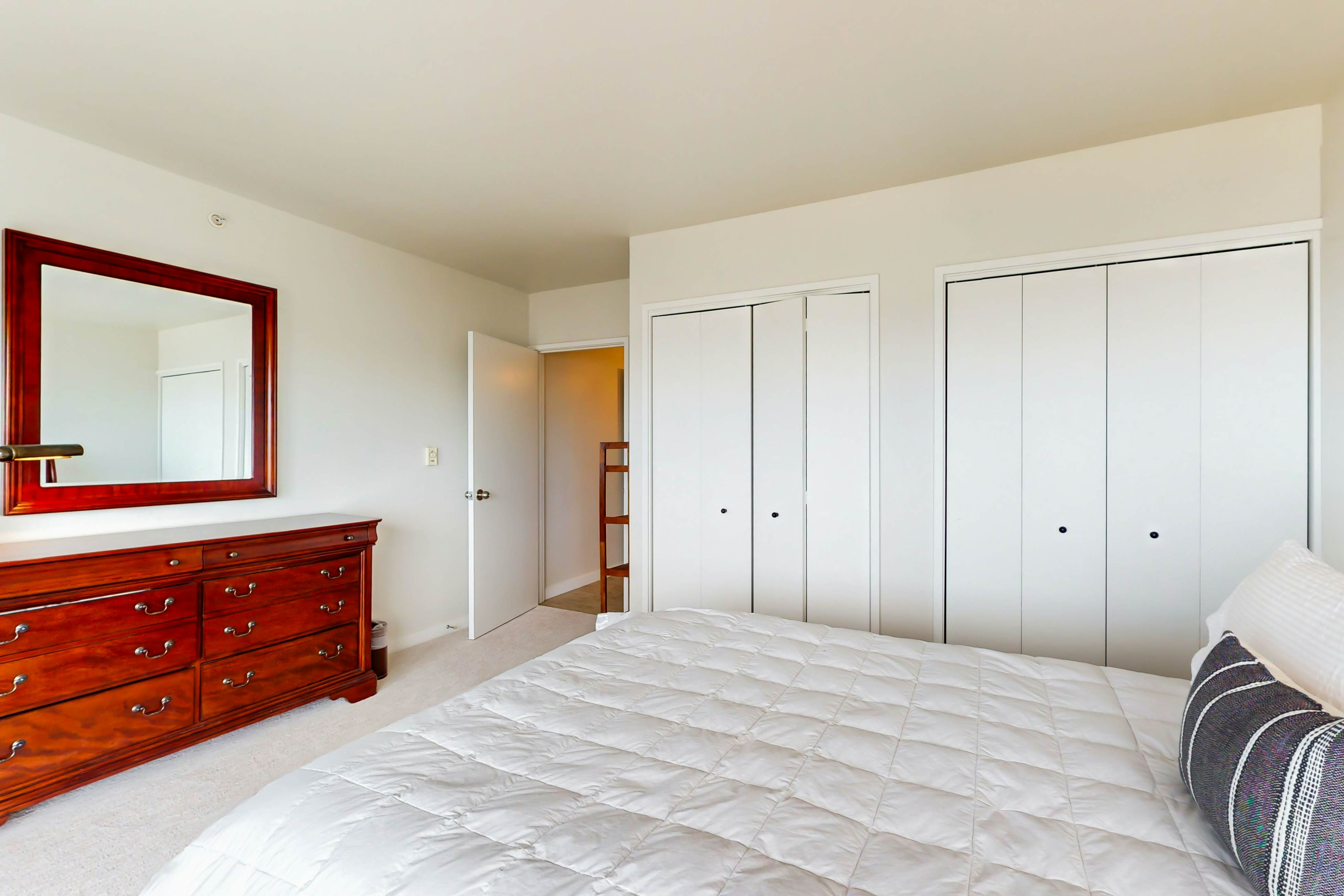 Pike Place Olympic View