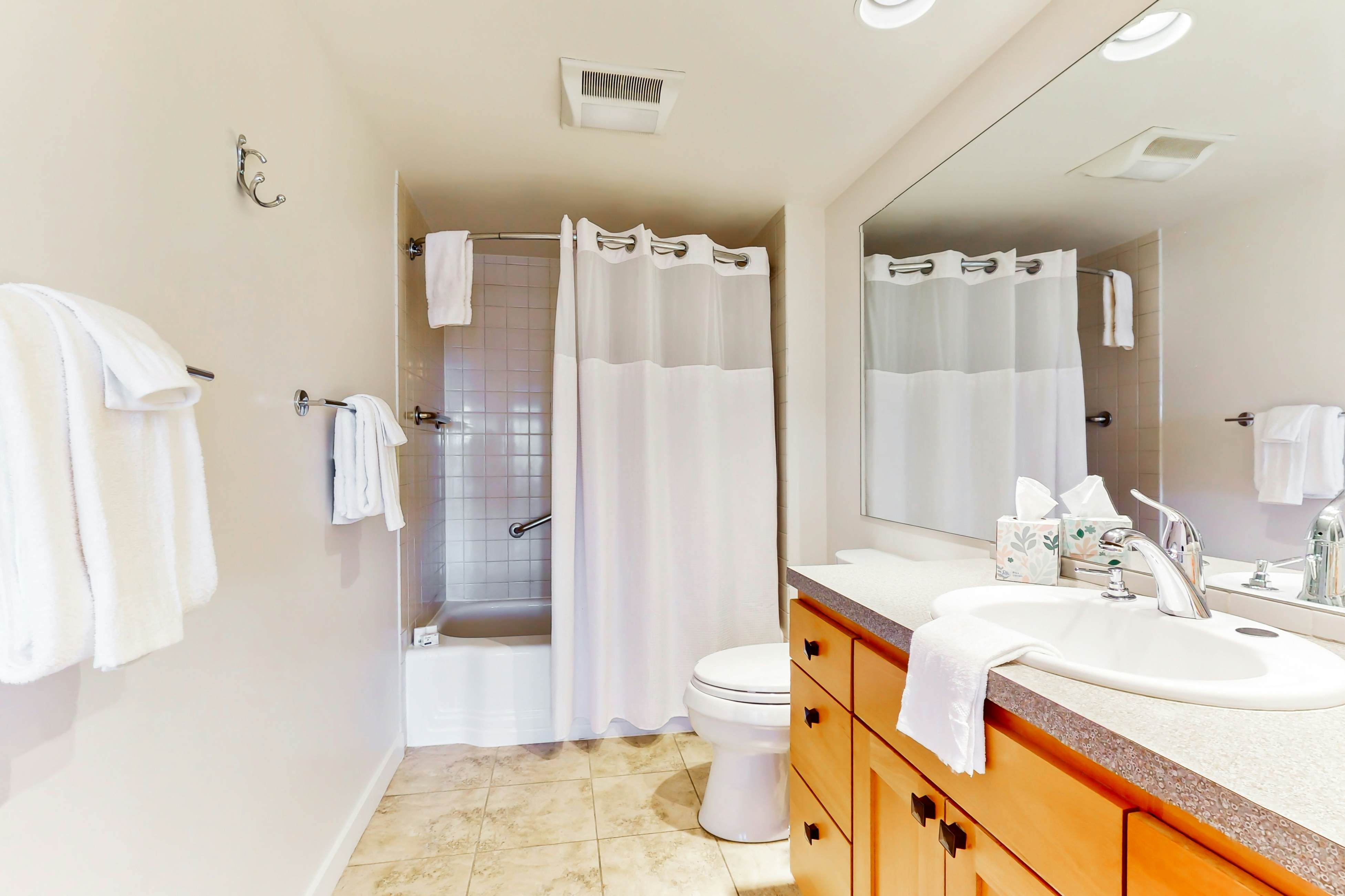 Pike Place Olympic View