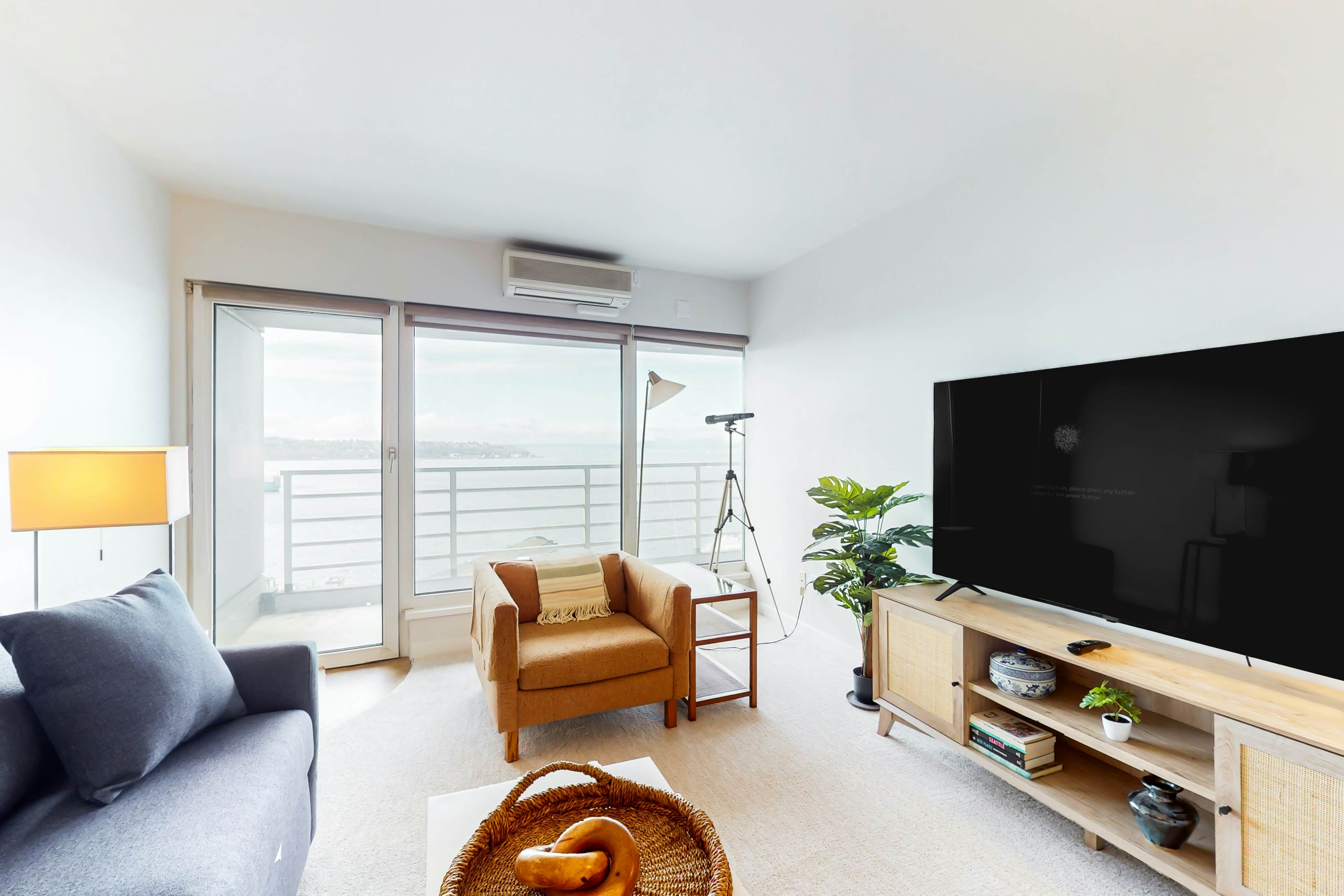 Pike Place Olympic View