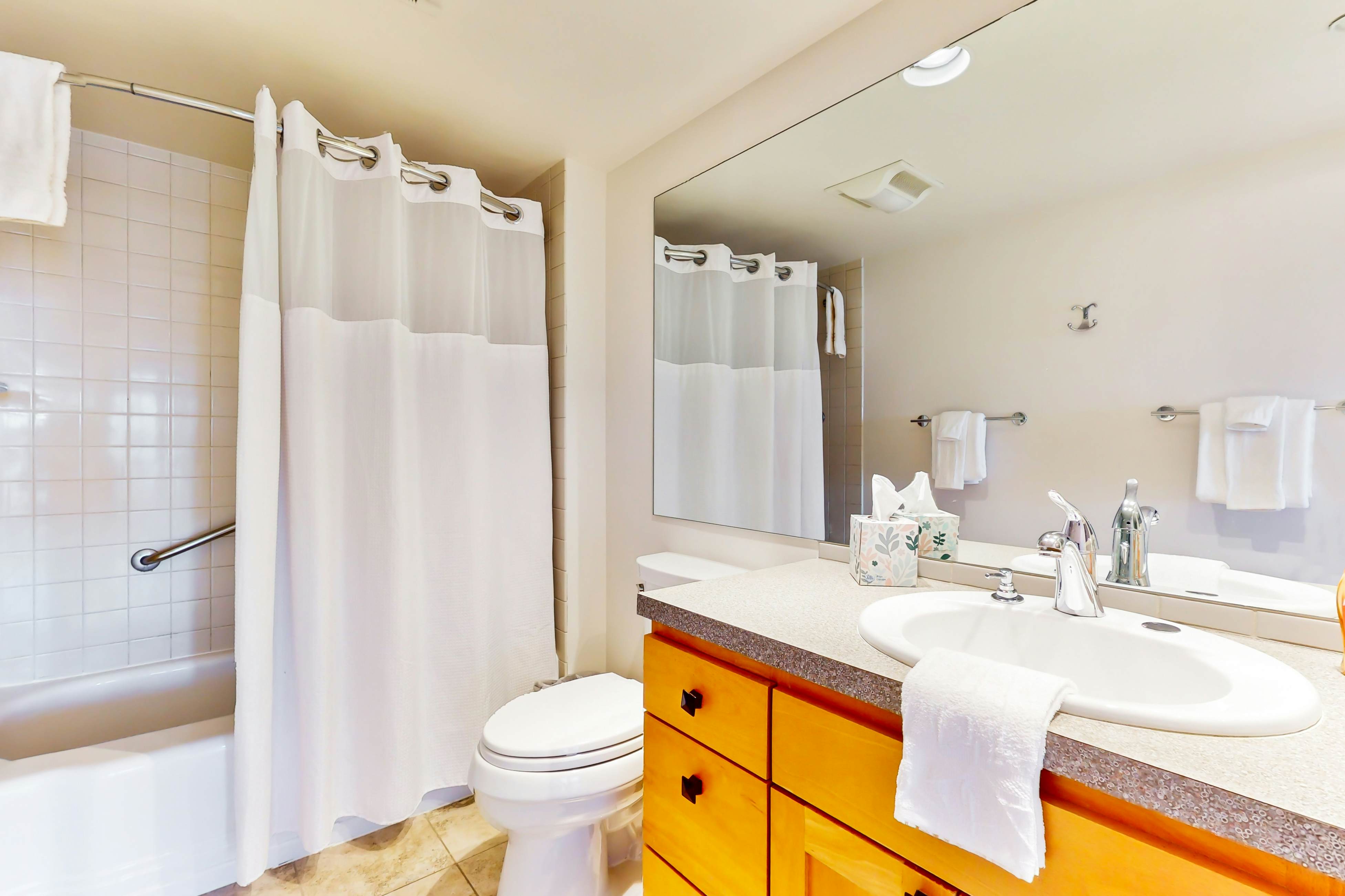 Pike Place Olympic View