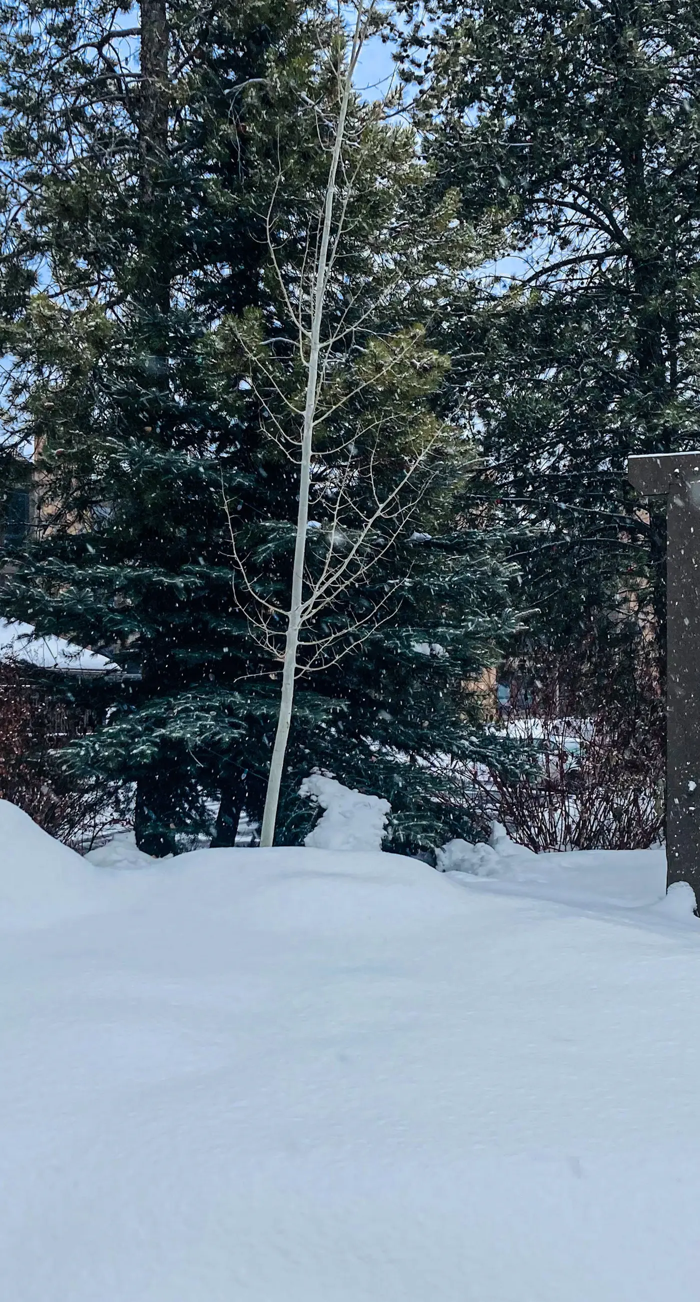 Lodge at Steamboat C302