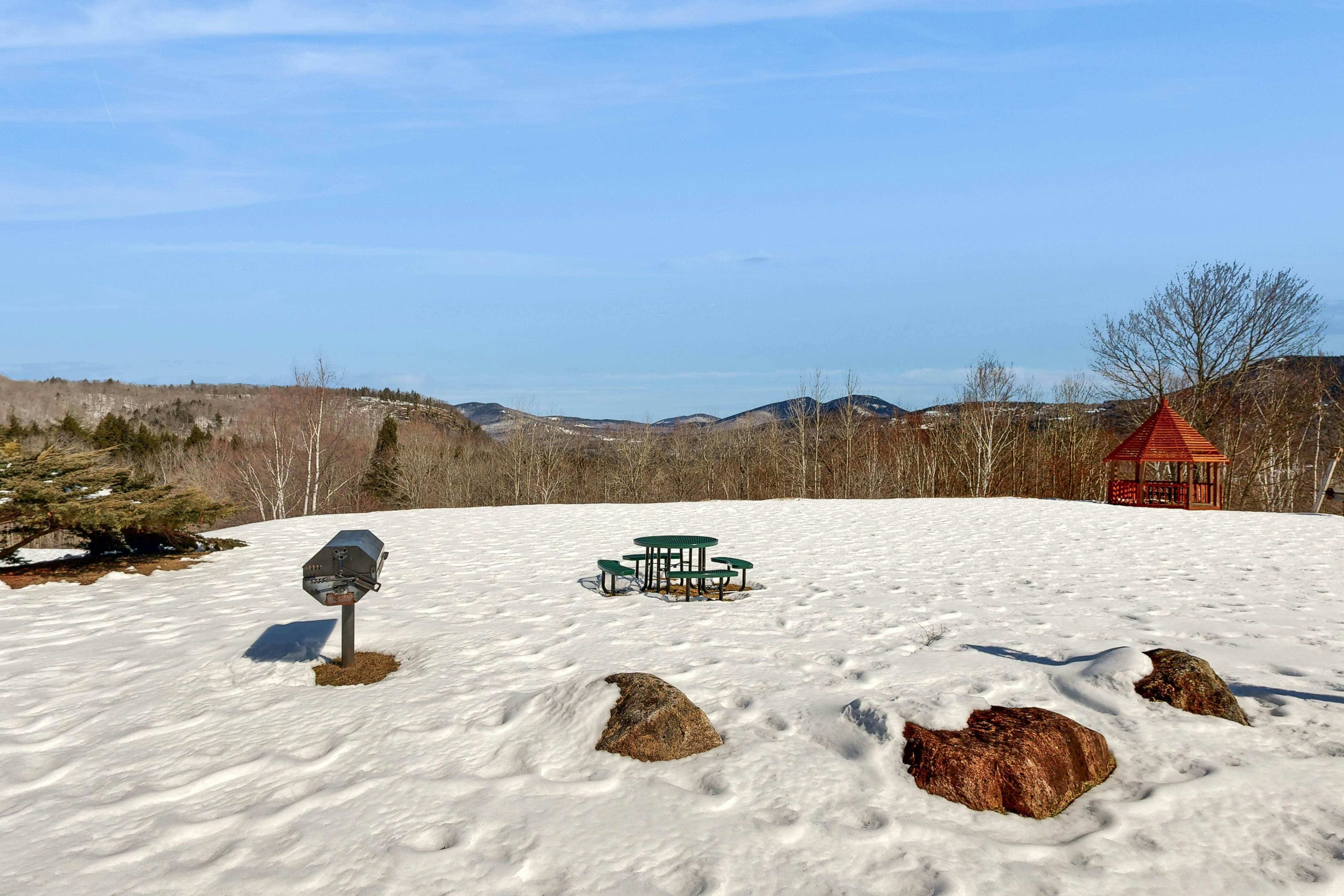 White Birch at Nordic Village