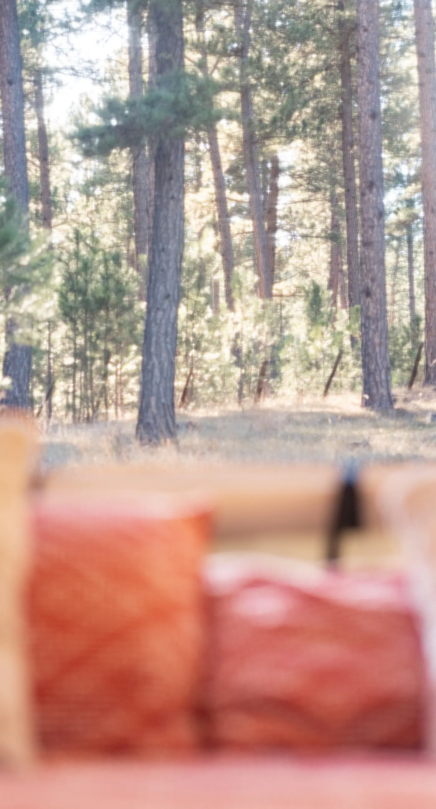 Buffalo Canvas Tent