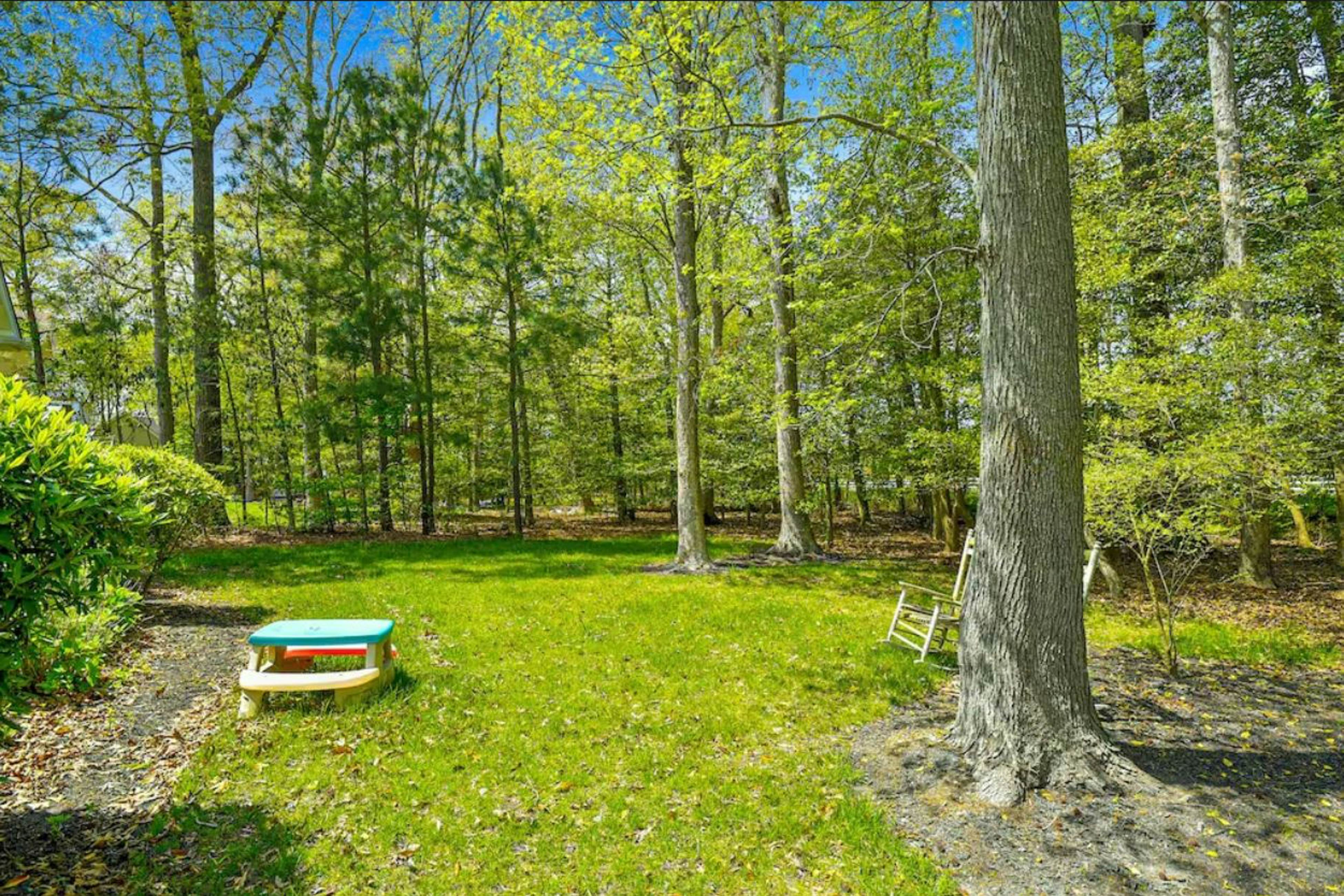 Salt Pond - After Dune Delight