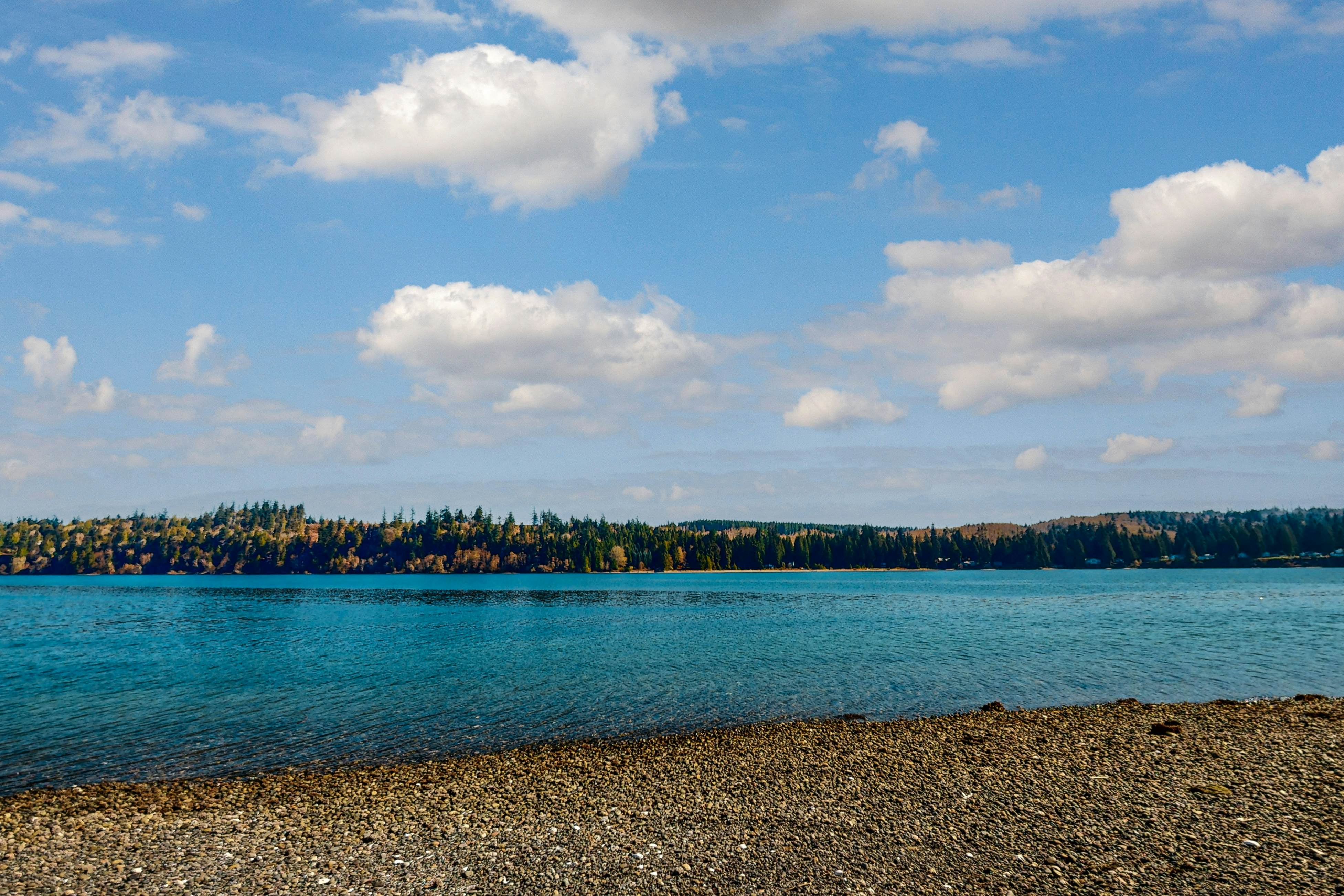 Ludlow Seaside Hale'