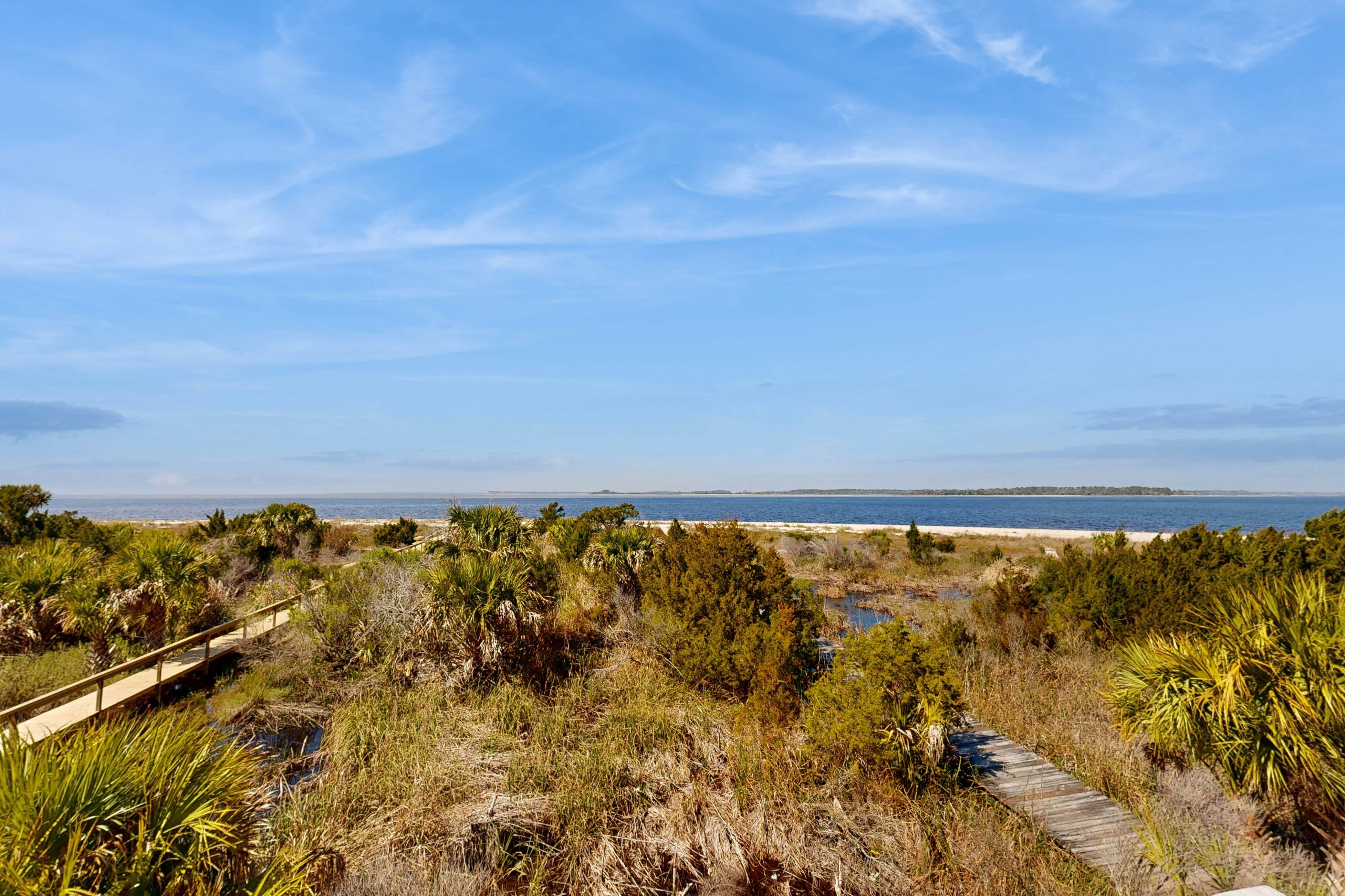 Dolphin Watch - A Side