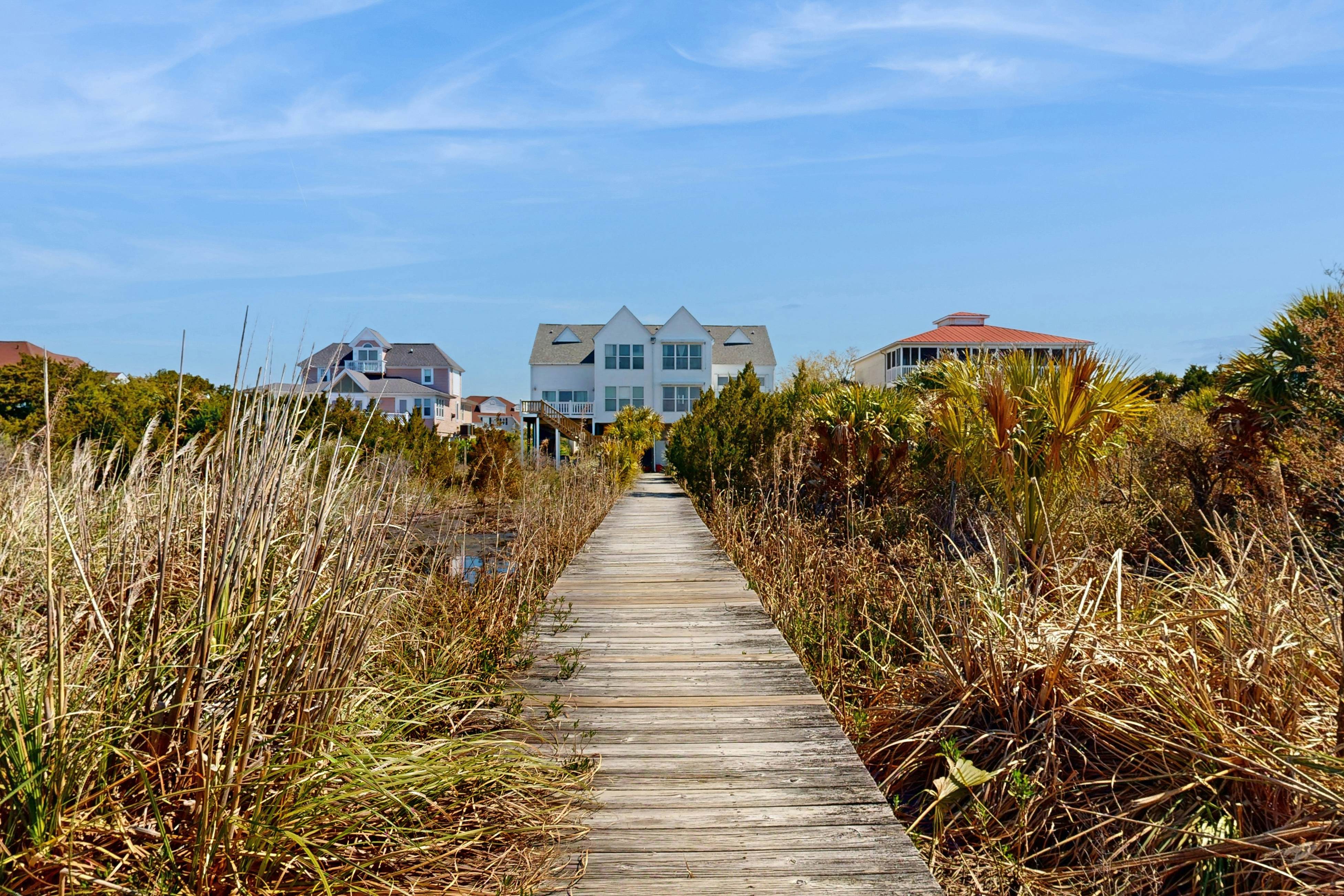 Dolphin Watch - A Side