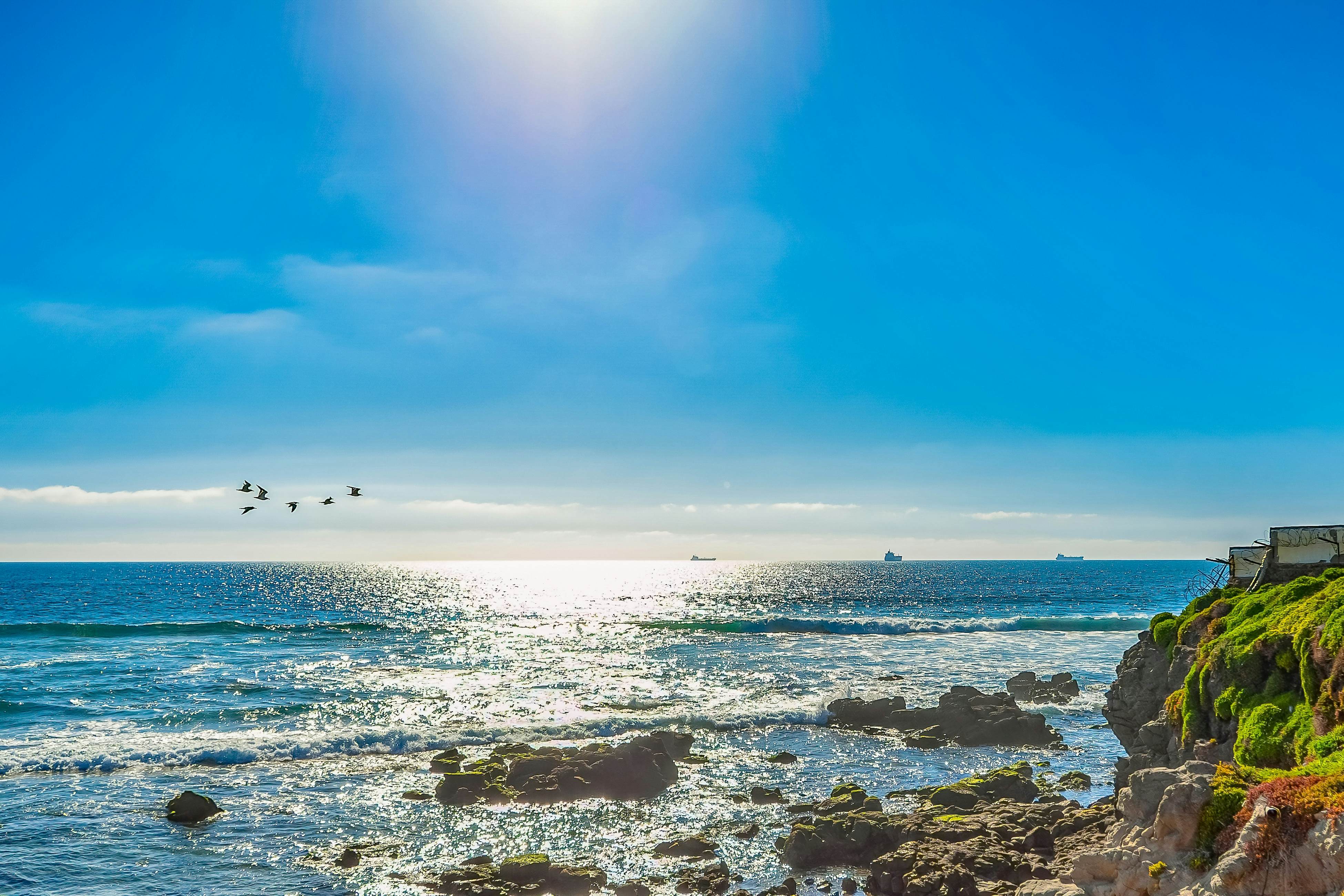 Jr Suite 5 - Playa Arcangel