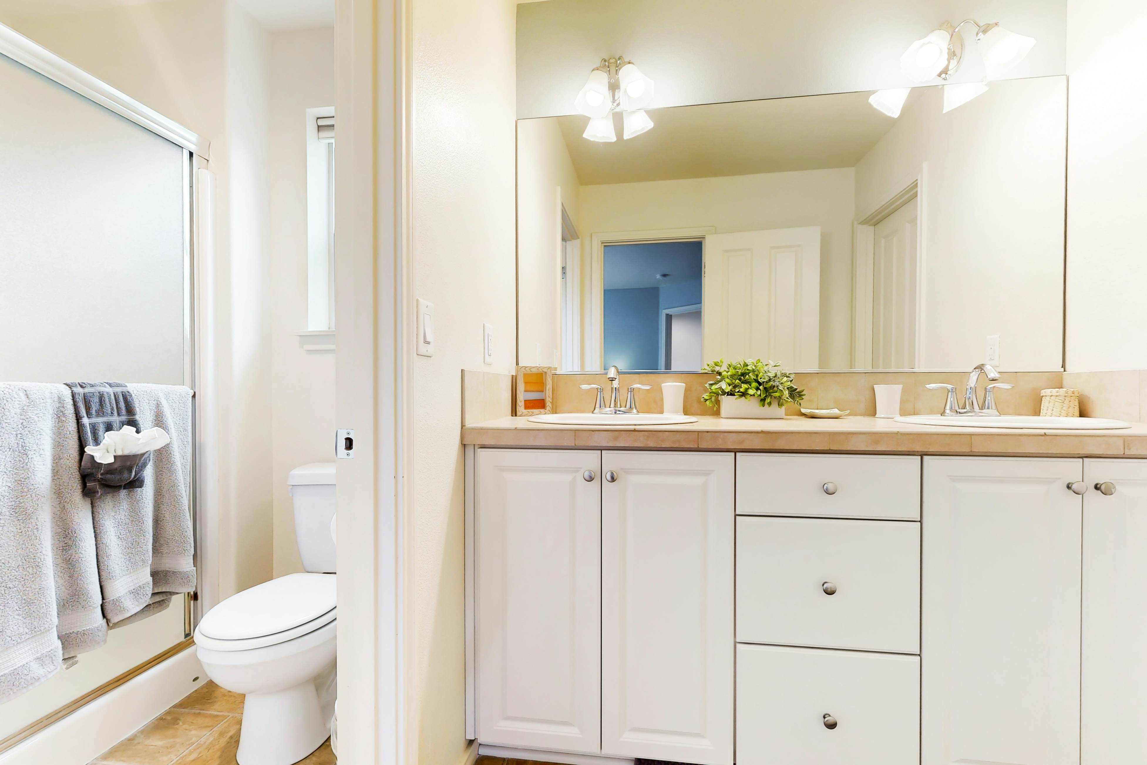 Haven Among Tranquil Pines