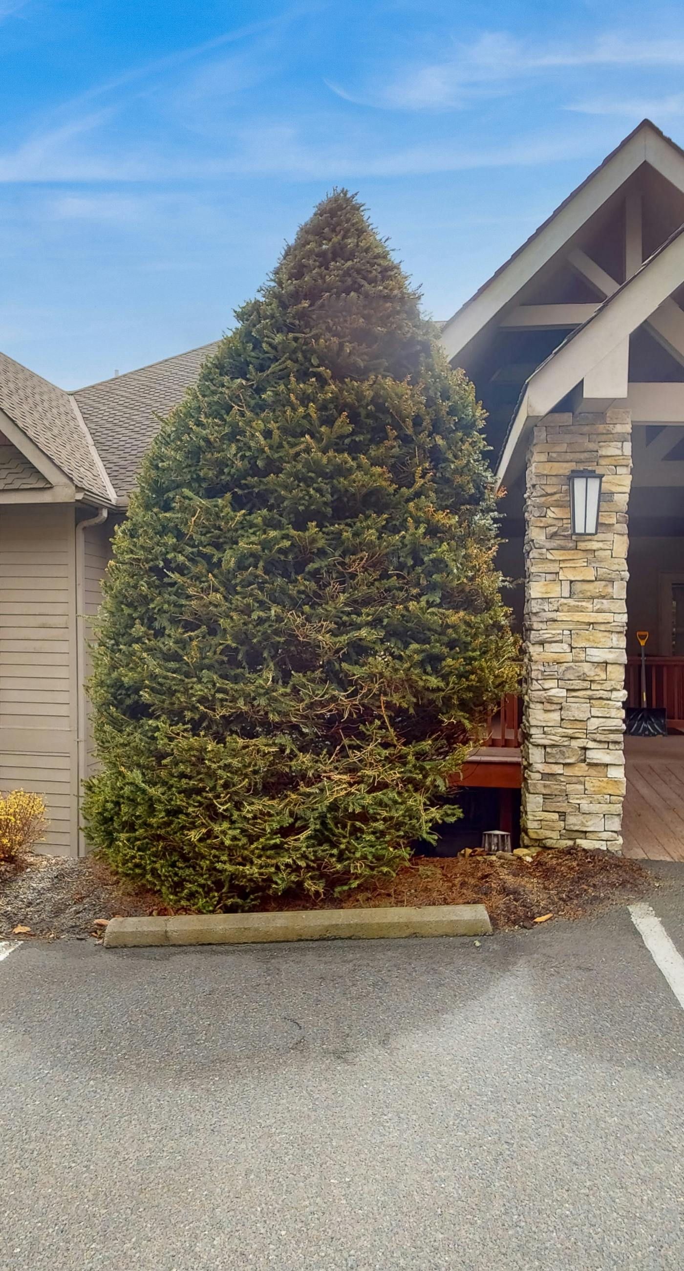 The Owl's Nest at the Reserve