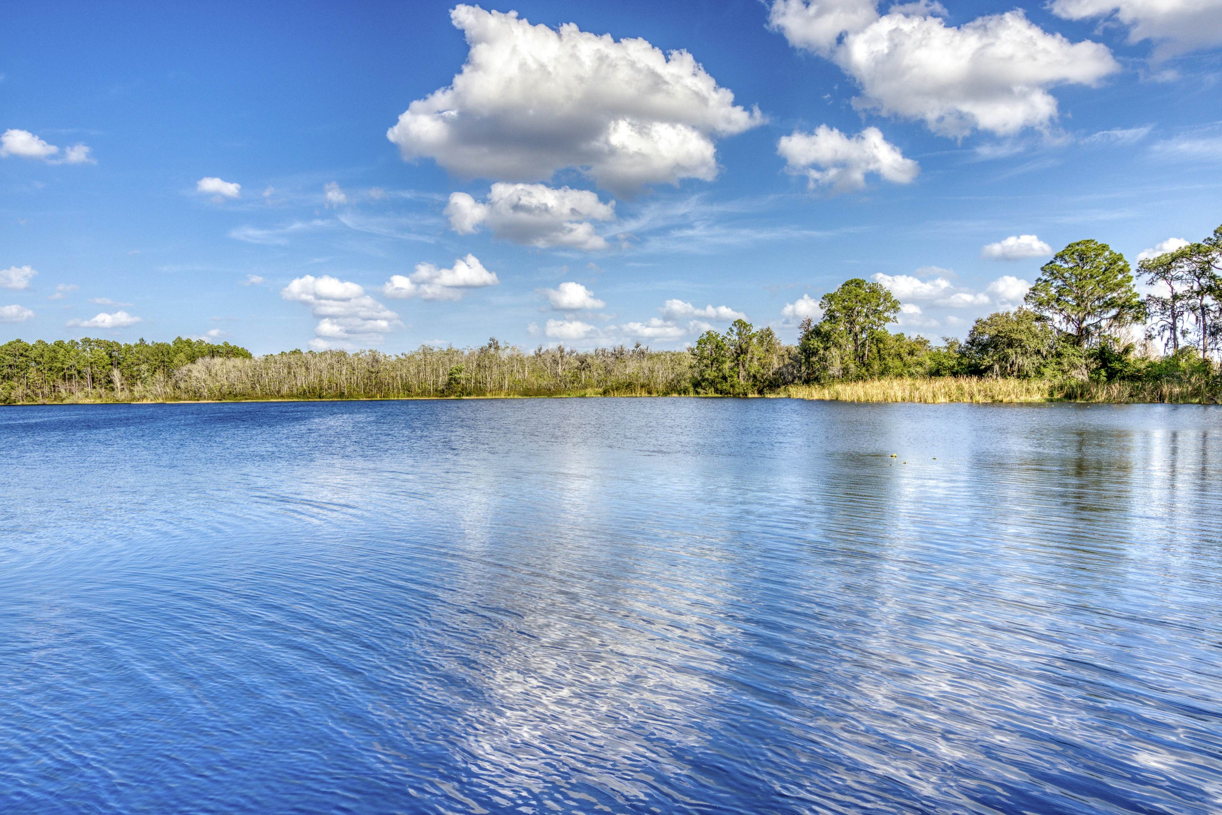 Bahama Bay Resort 18713