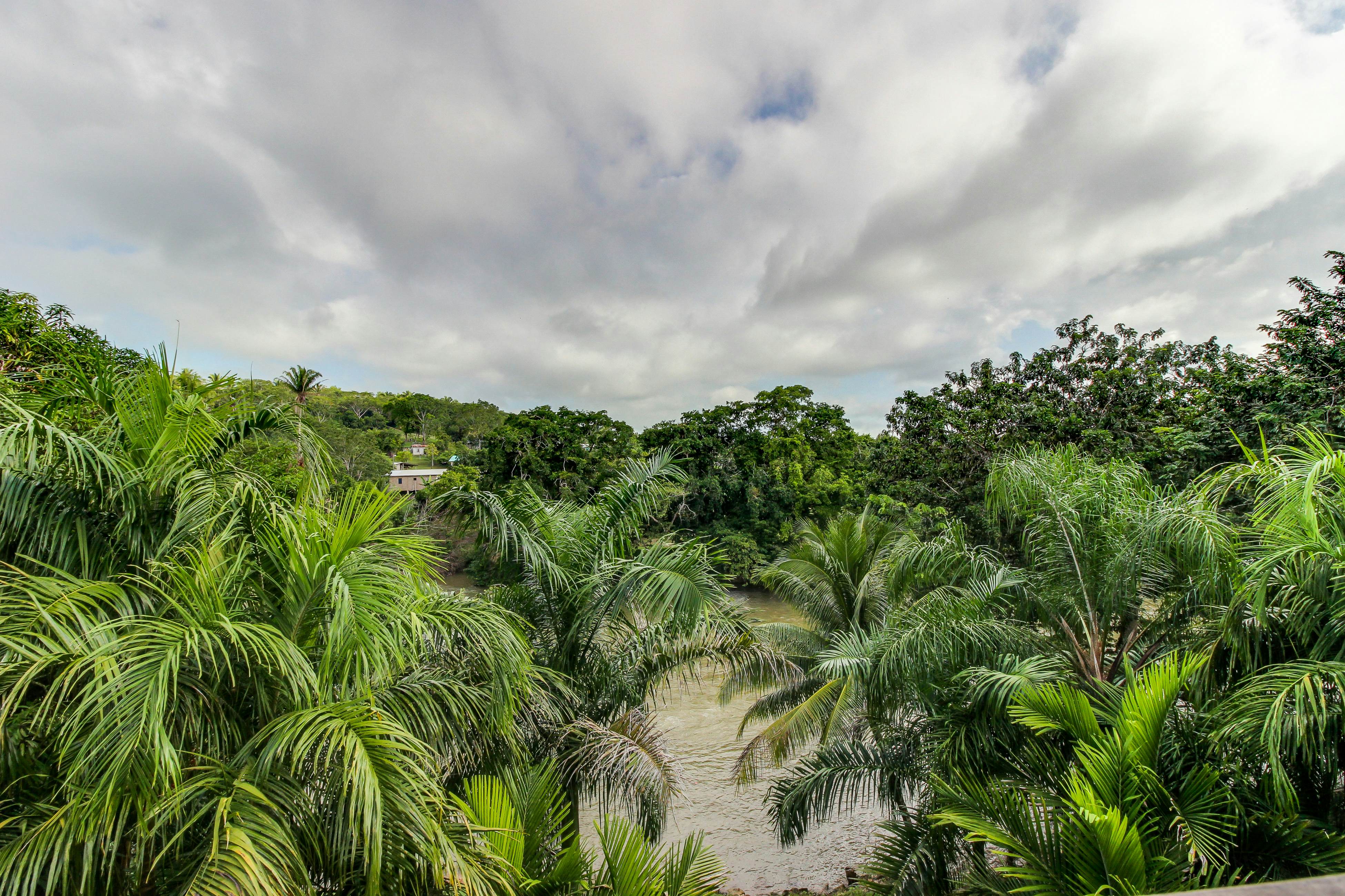 Monkey Suite at Mahogany Hall -Gold Standard Certified