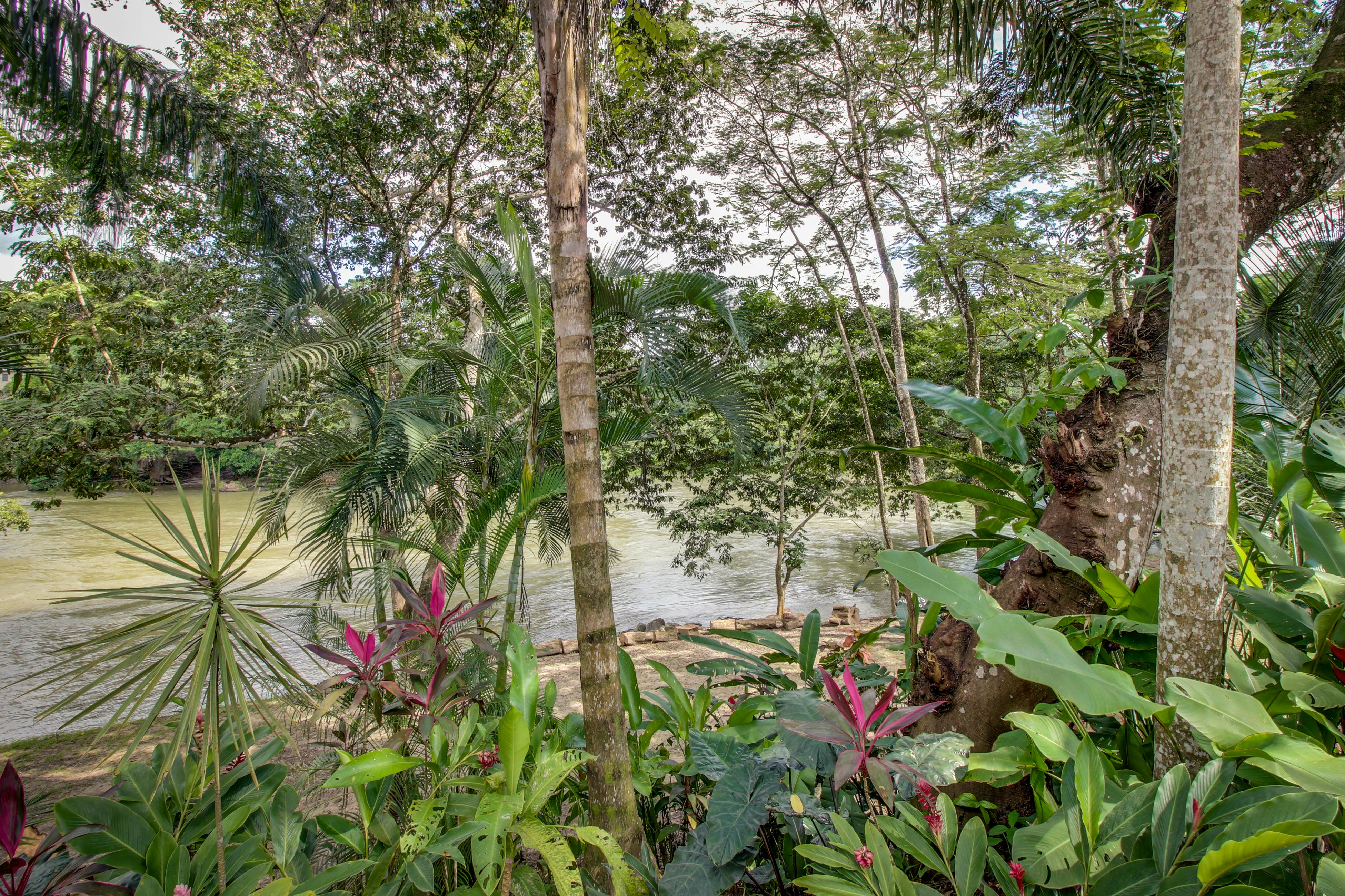 Monkey Suite at Mahogany Hall -Gold Standard Certified