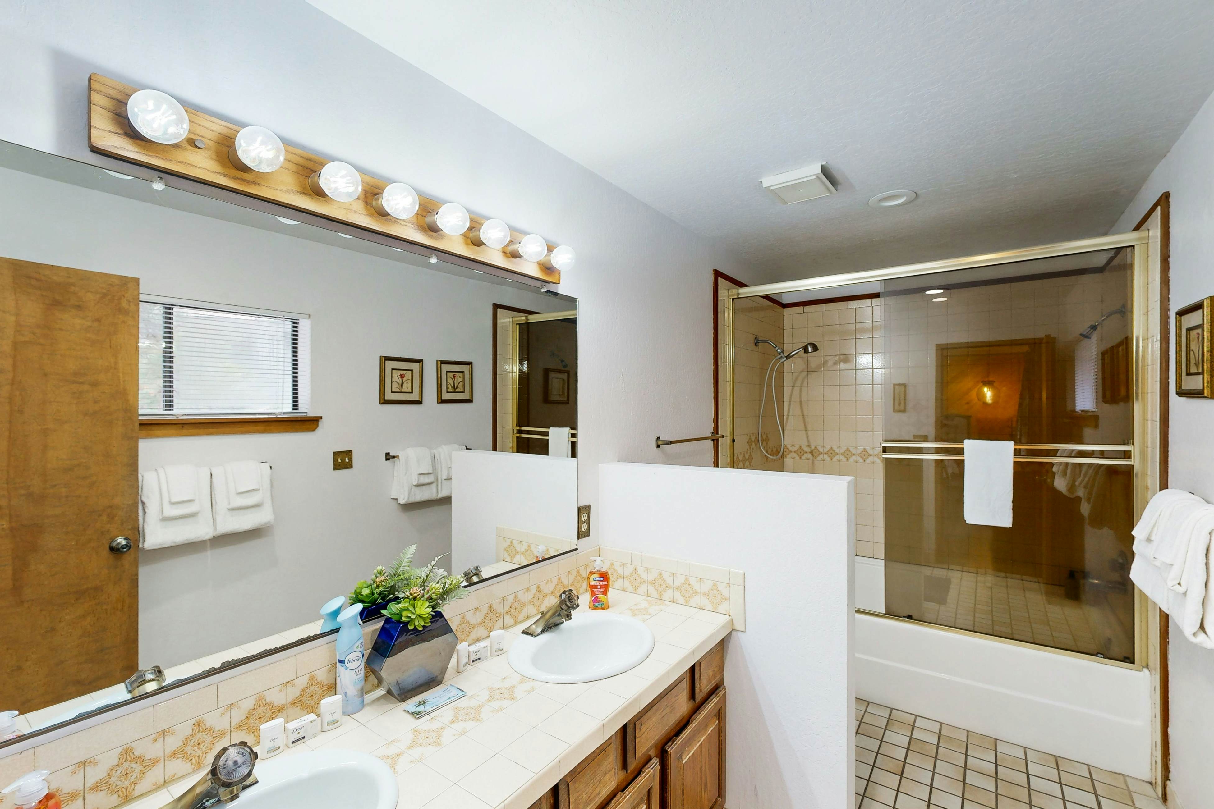 Scenes of Evergreens